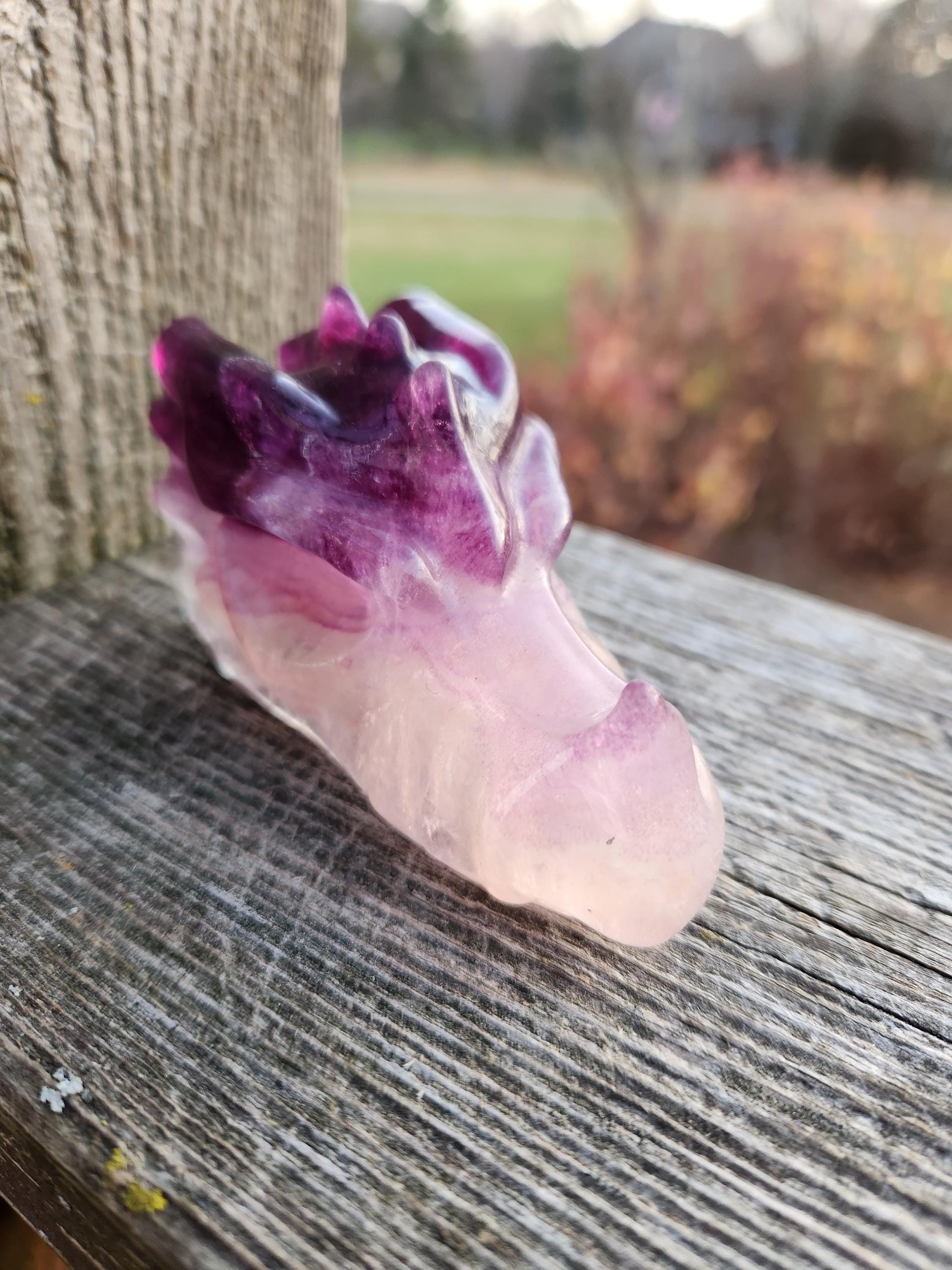 Natural Purple and White Fluorite Crystal Carved Dragon Head, DnD