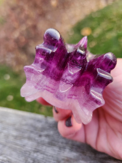 Natural Purple and White Fluorite Crystal Carved Dragon Head, DnD