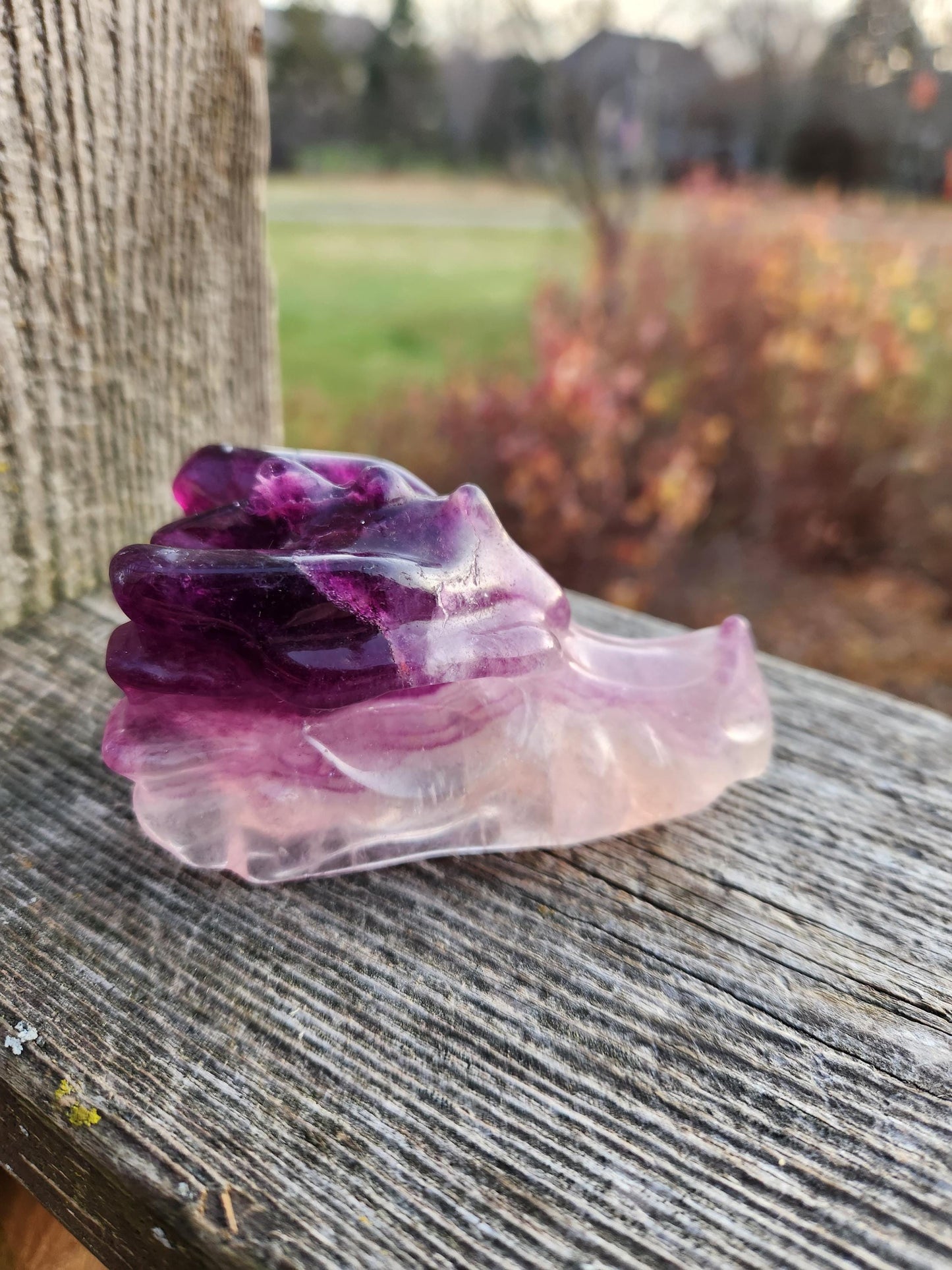 Natural Purple and White Fluorite Crystal Carved Dragon Head, DnD