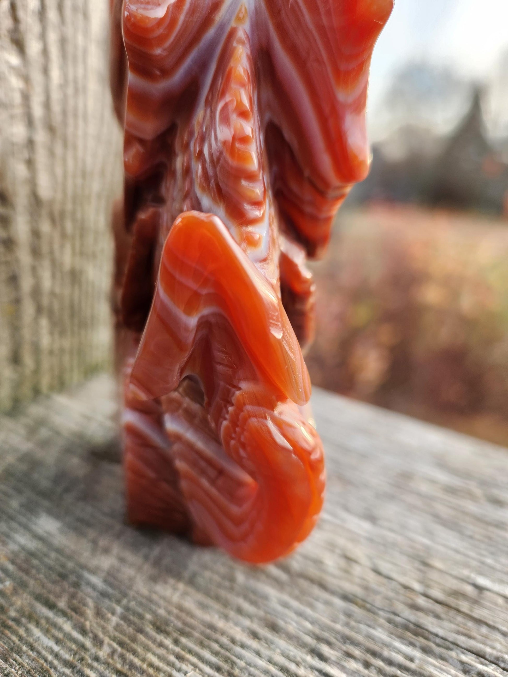 Banded Carnelian Agate Crystal Dragon: DnD, Fire Dragon