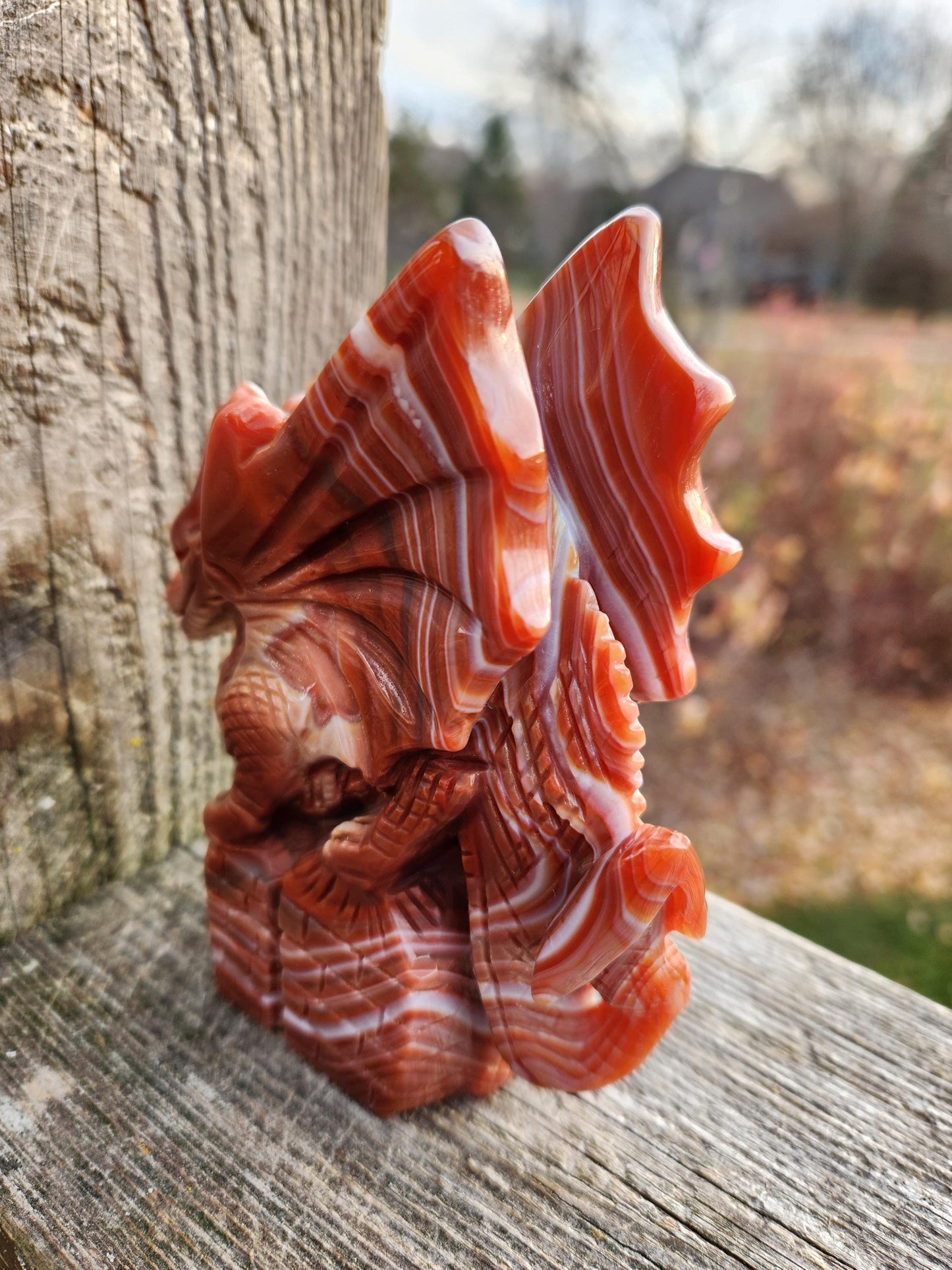 Banded Carnelian Agate Crystal Dragon: DnD, Fire Dragon