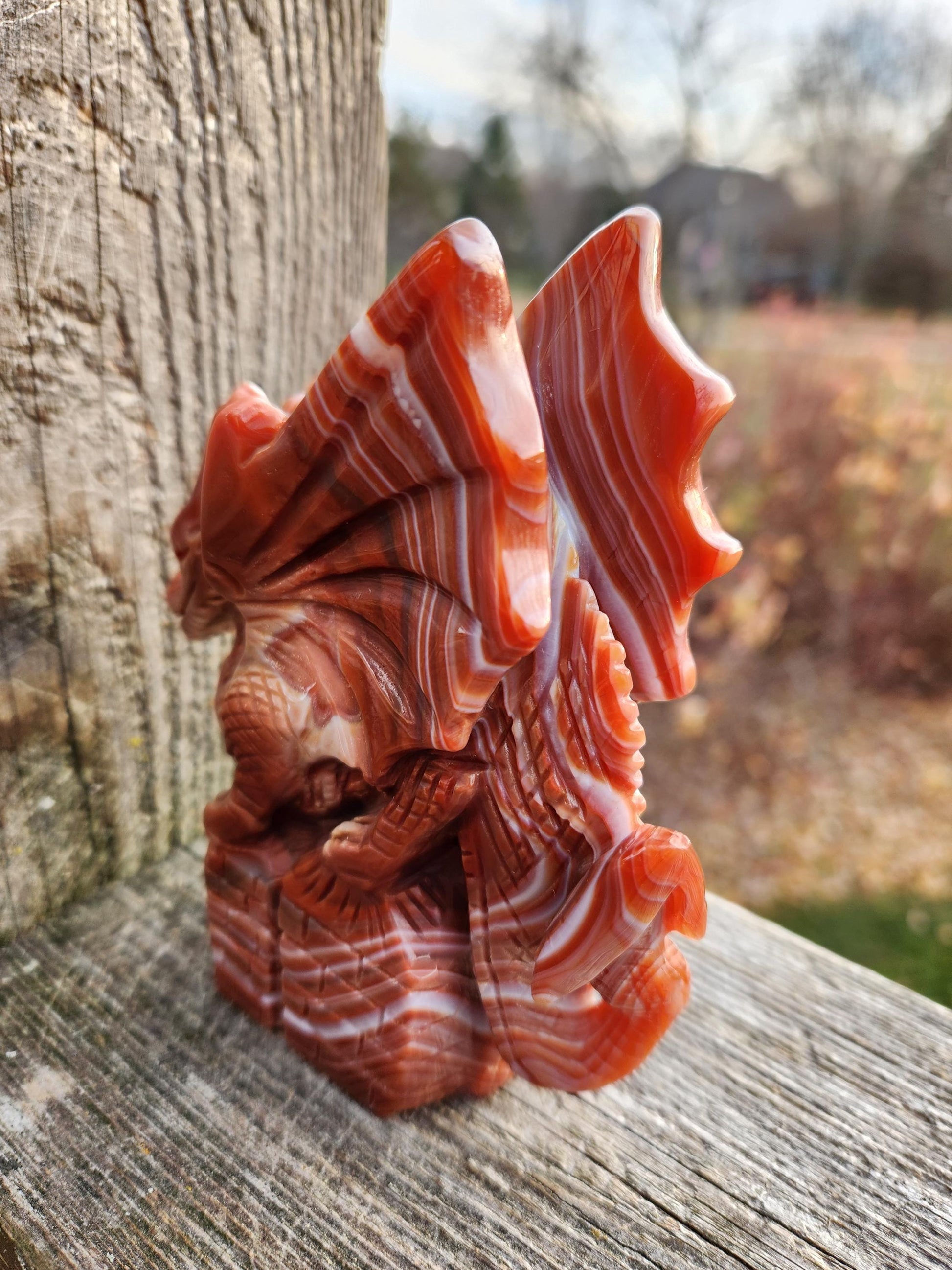 Banded Carnelian Agate Crystal Dragon: DnD, Fire Dragon