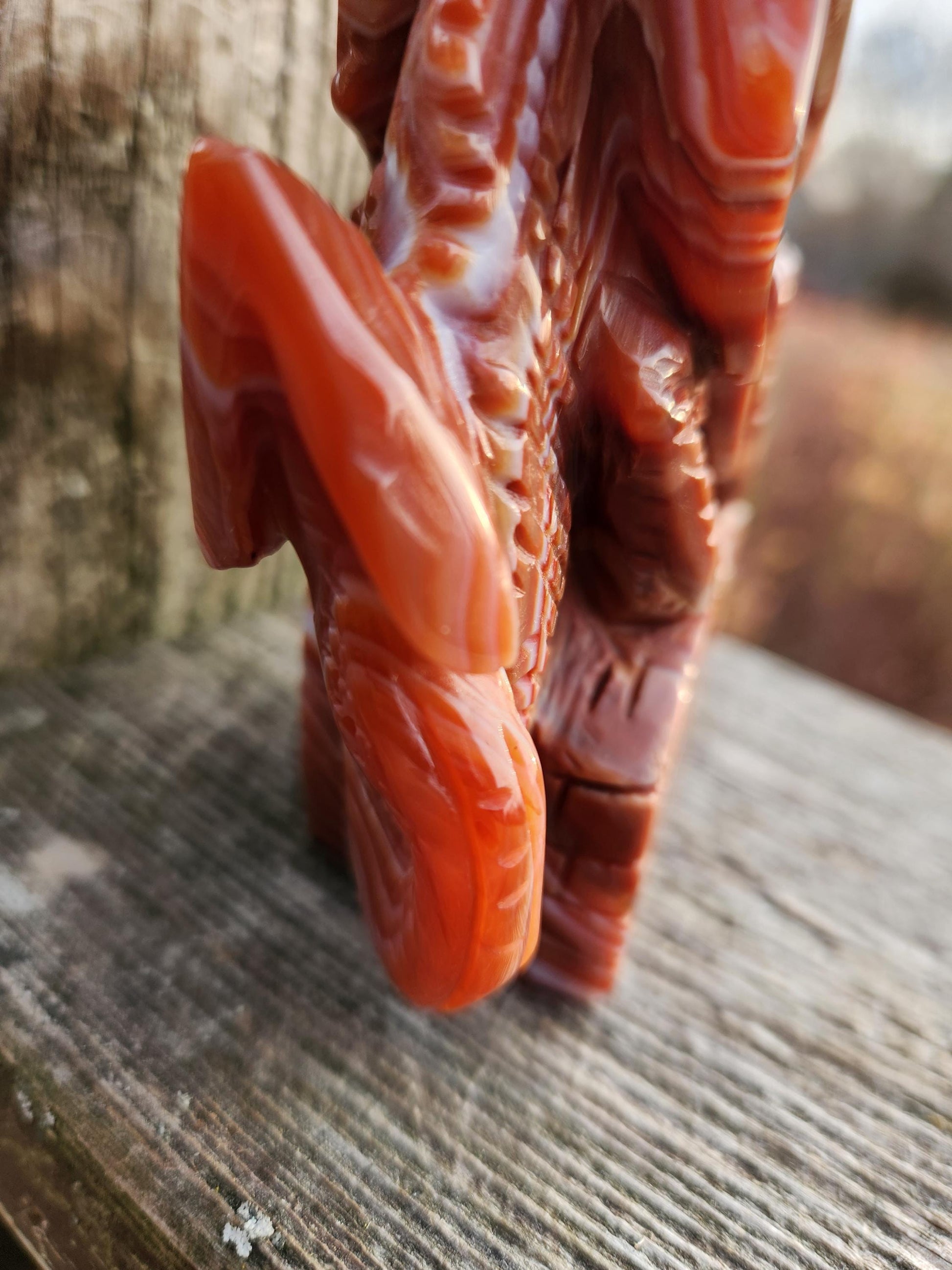 Banded Carnelian Agate Crystal Dragon: DnD, Fire Dragon