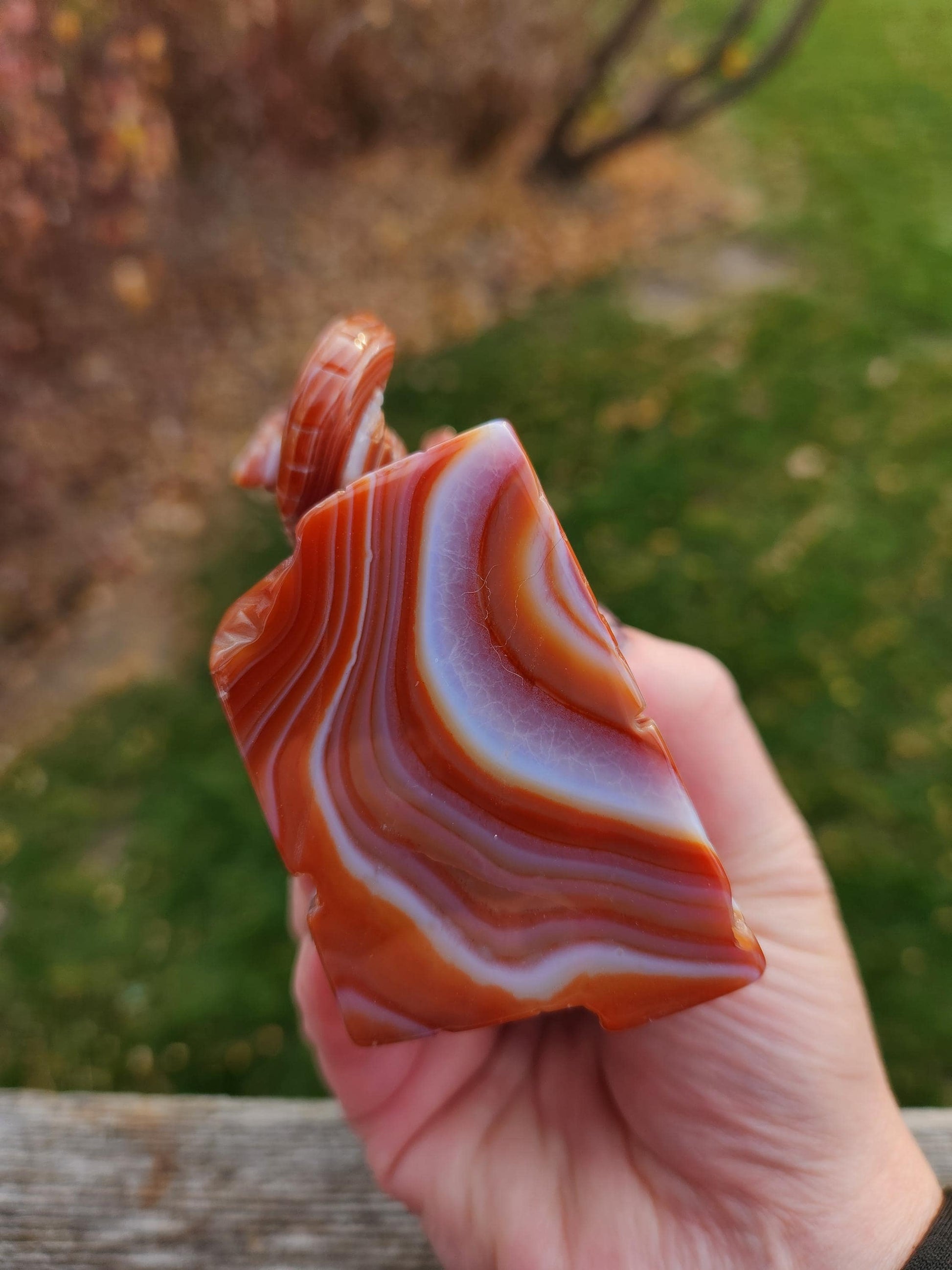 Banded Carnelian Agate Crystal Dragon: DnD, Fire Dragon