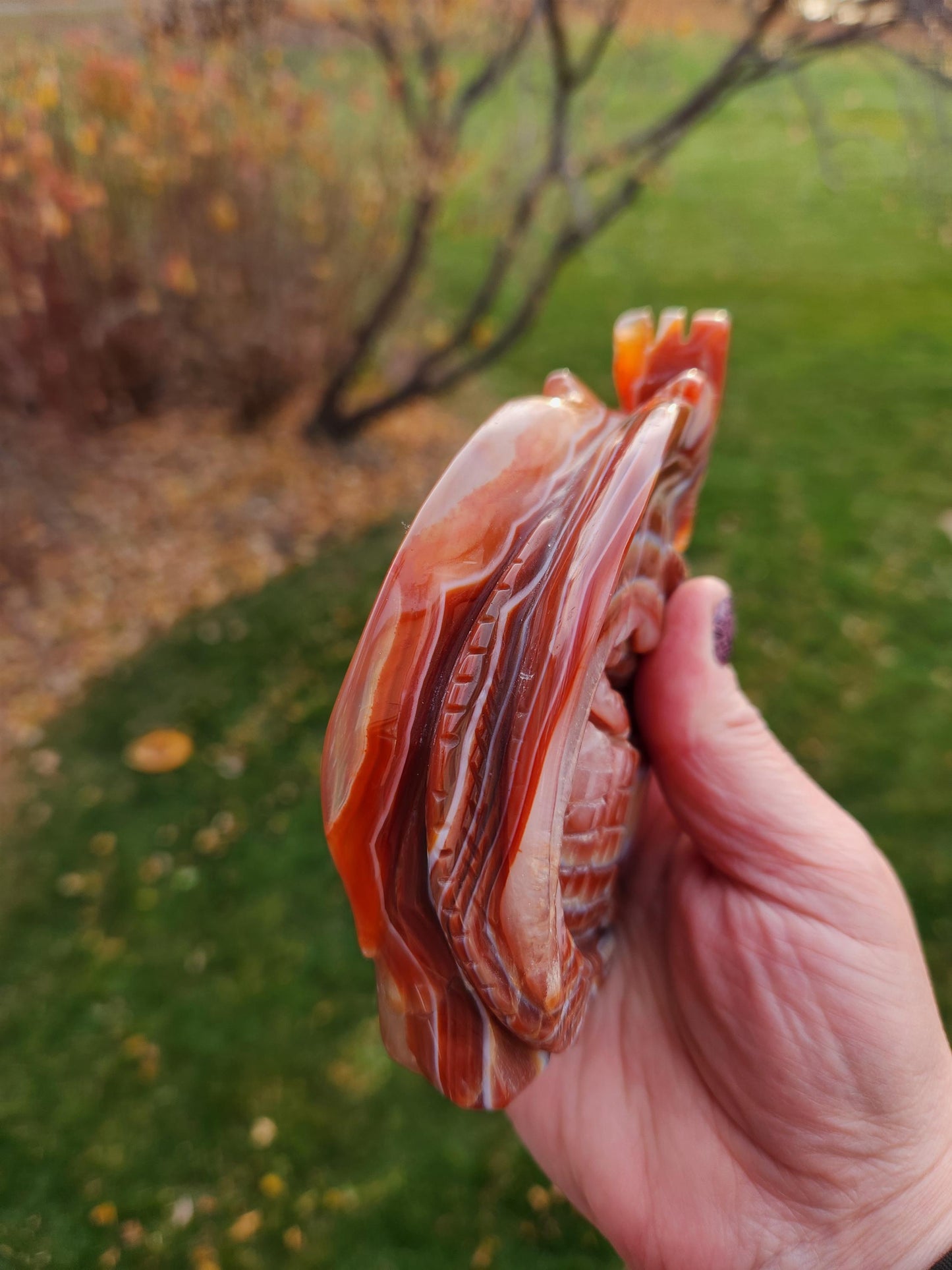 Banded Carnelian Agate Crystal Dragon: DnD, Fire Dragon