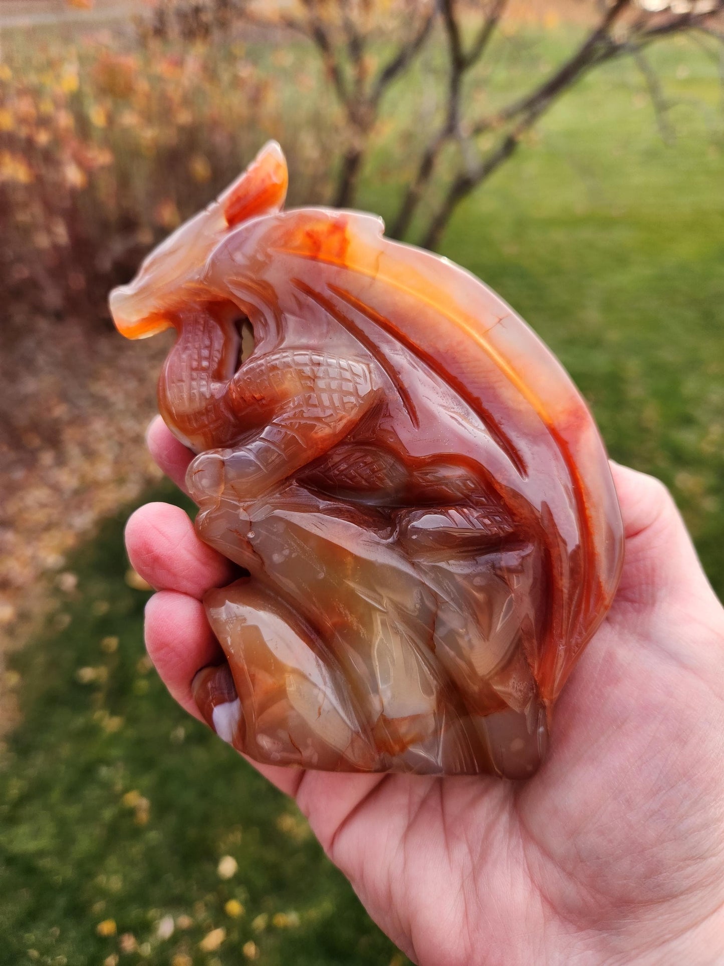 Banded Carnelian Agate Crystal Dragon: DnD, Fire Dragon