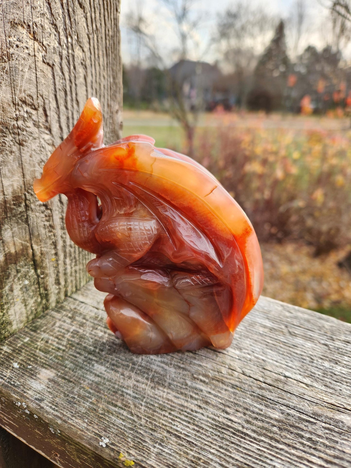 Banded Carnelian Agate Crystal Dragon: DnD, Fire Dragon