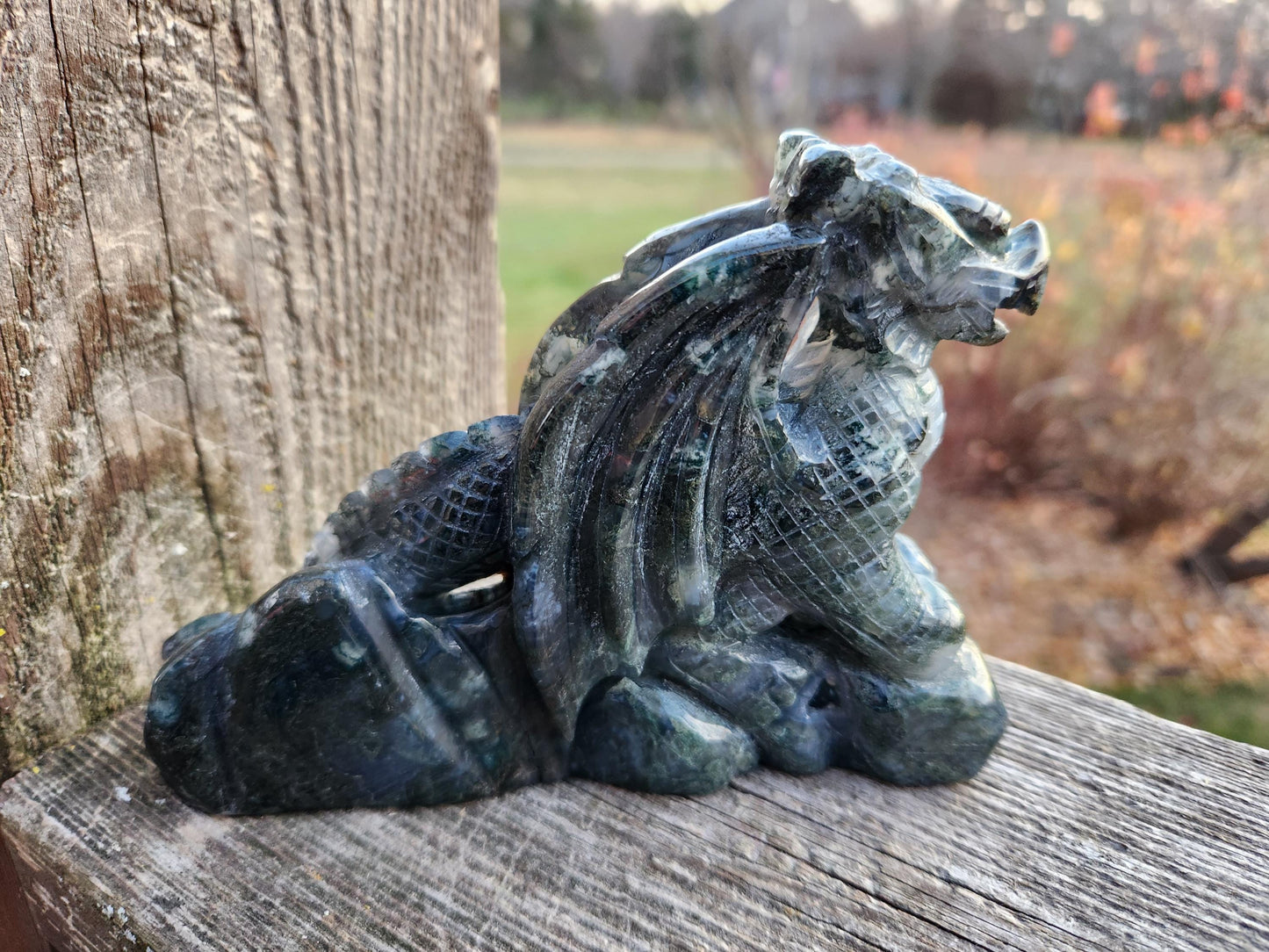 AAA Natural Moss Agate Crystal Carved Full Body Dragon, DND