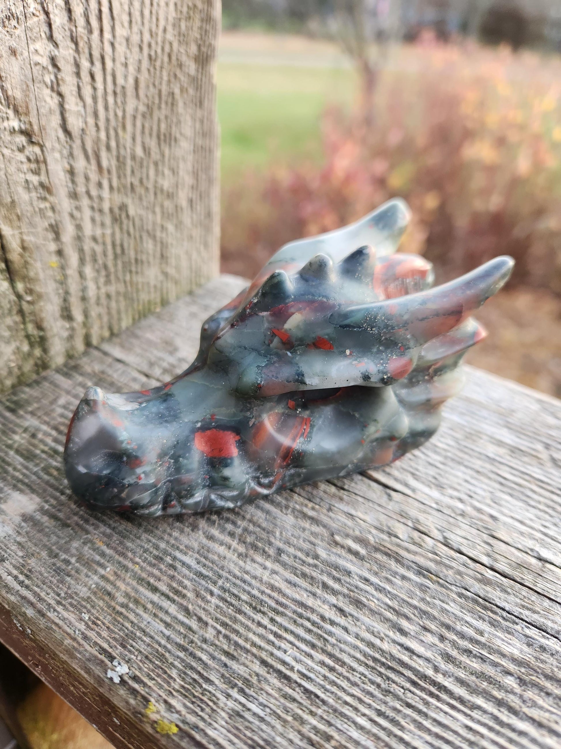 High Polished African Bloodstone Jasper Carved Dragon Head Crystal Stone, DnD, Fire Dragon