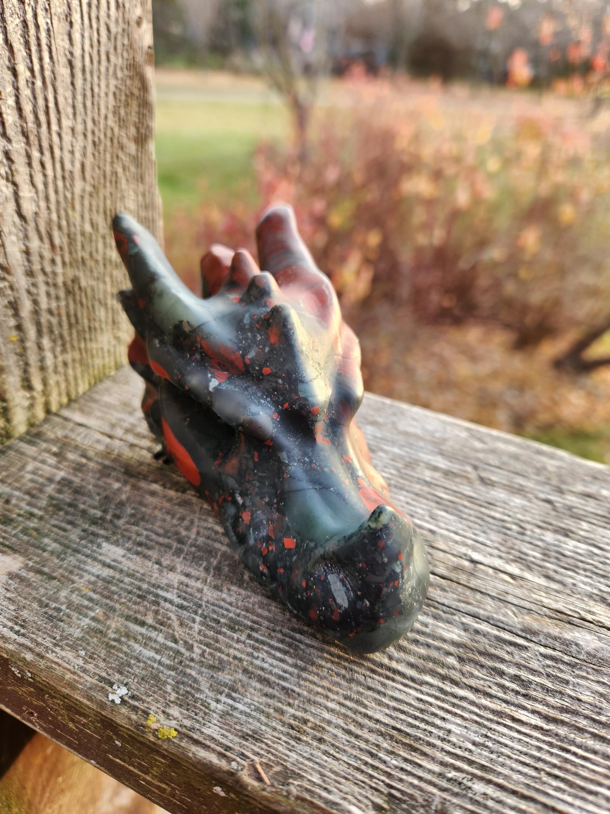 High Polished African Bloodstone Jasper Carved Dragon Head Crystal Stone, DnD