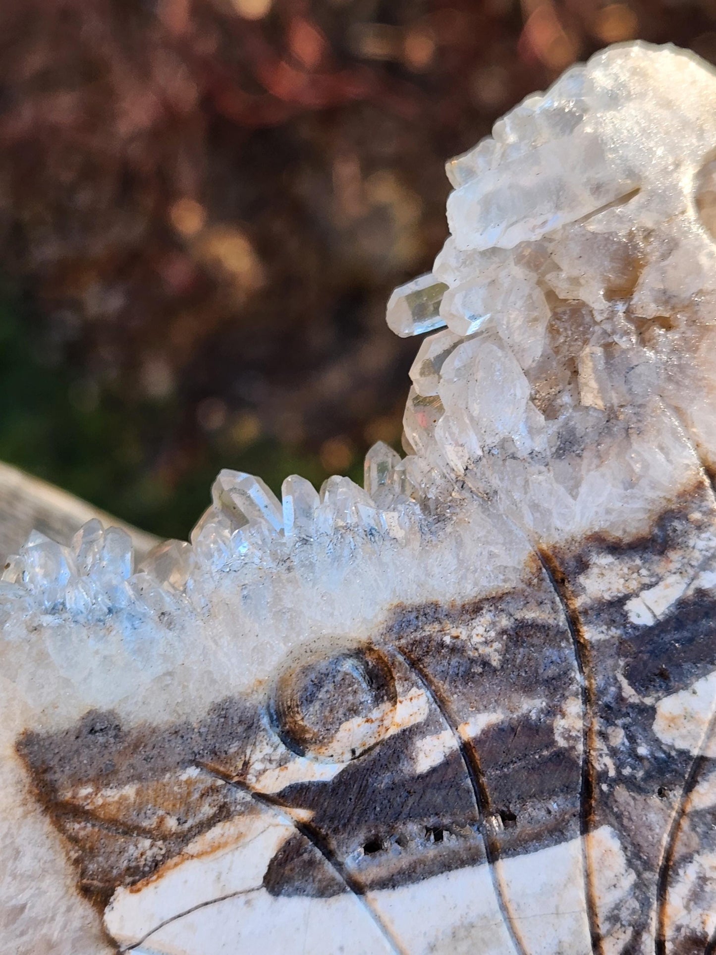 Super Unique Clear Quartz Points 0n Matrix Angel Or Fairy Carving Natural Stone Crystal