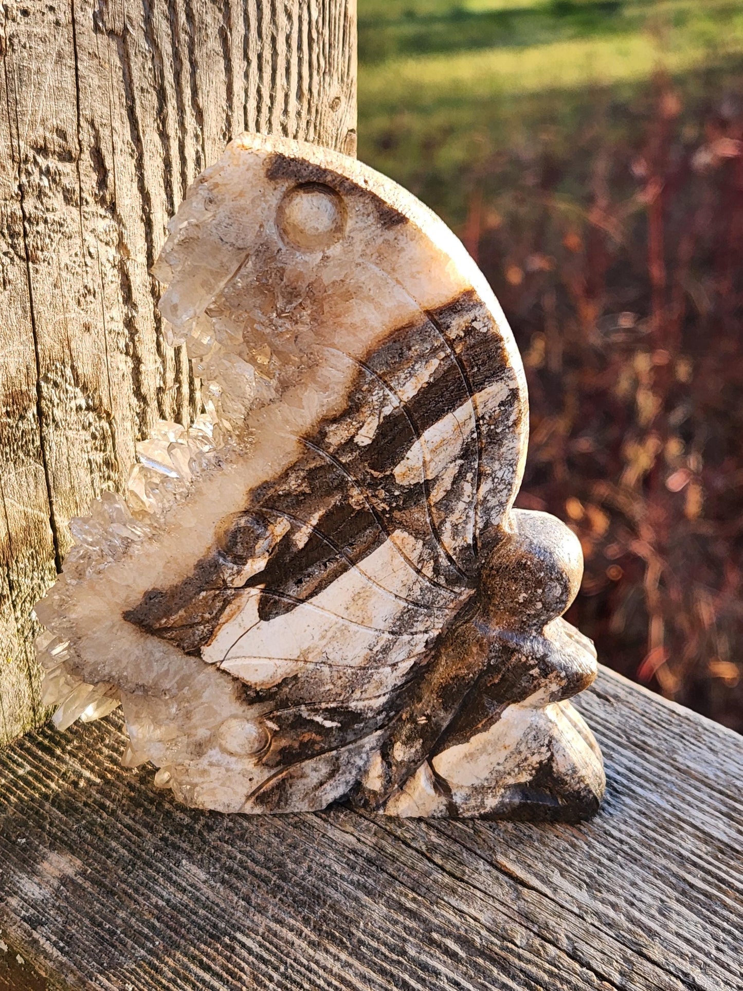 Super Unique Clear Quartz Points 0n Matrix Angel Or Fairy Carving Natural Stone Crystal