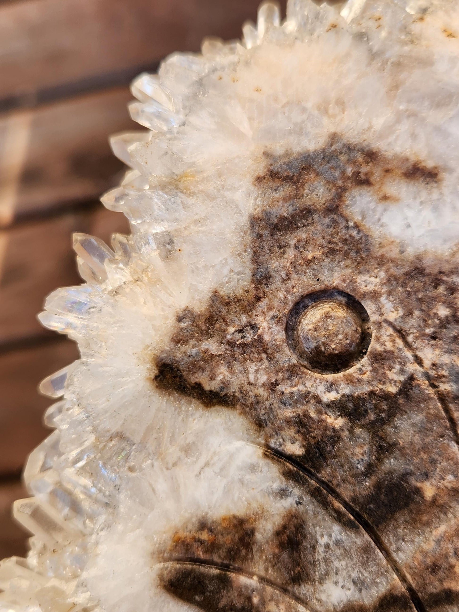 Super Unique Clear Quartz Points 0n Matrix Angel Or Fairy Carving Natural Stone Crystal