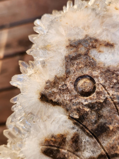 Super Unique Clear Quartz Points 0n Matrix Angel Or Fairy Carving Natural Stone Crystal