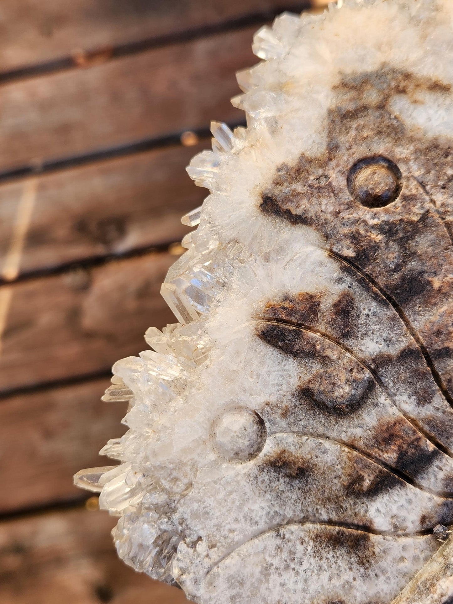 Super Unique Clear Quartz Points 0n Matrix Angel Or Fairy Carving Natural Stone Crystal