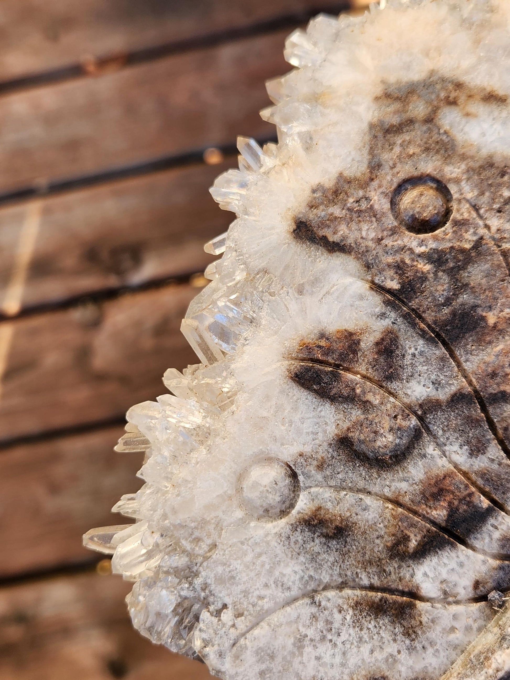 Super Unique Clear Quartz Points 0n Matrix Angel Or Fairy Carving Natural Stone Crystal