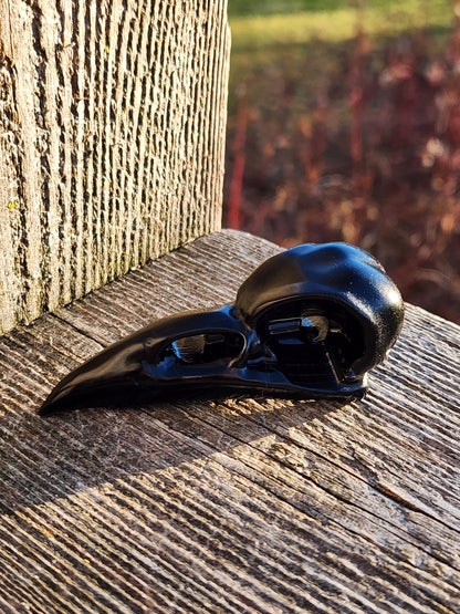 Carved Black Obsidian Small Raven Skull: Crystal Carving, One
