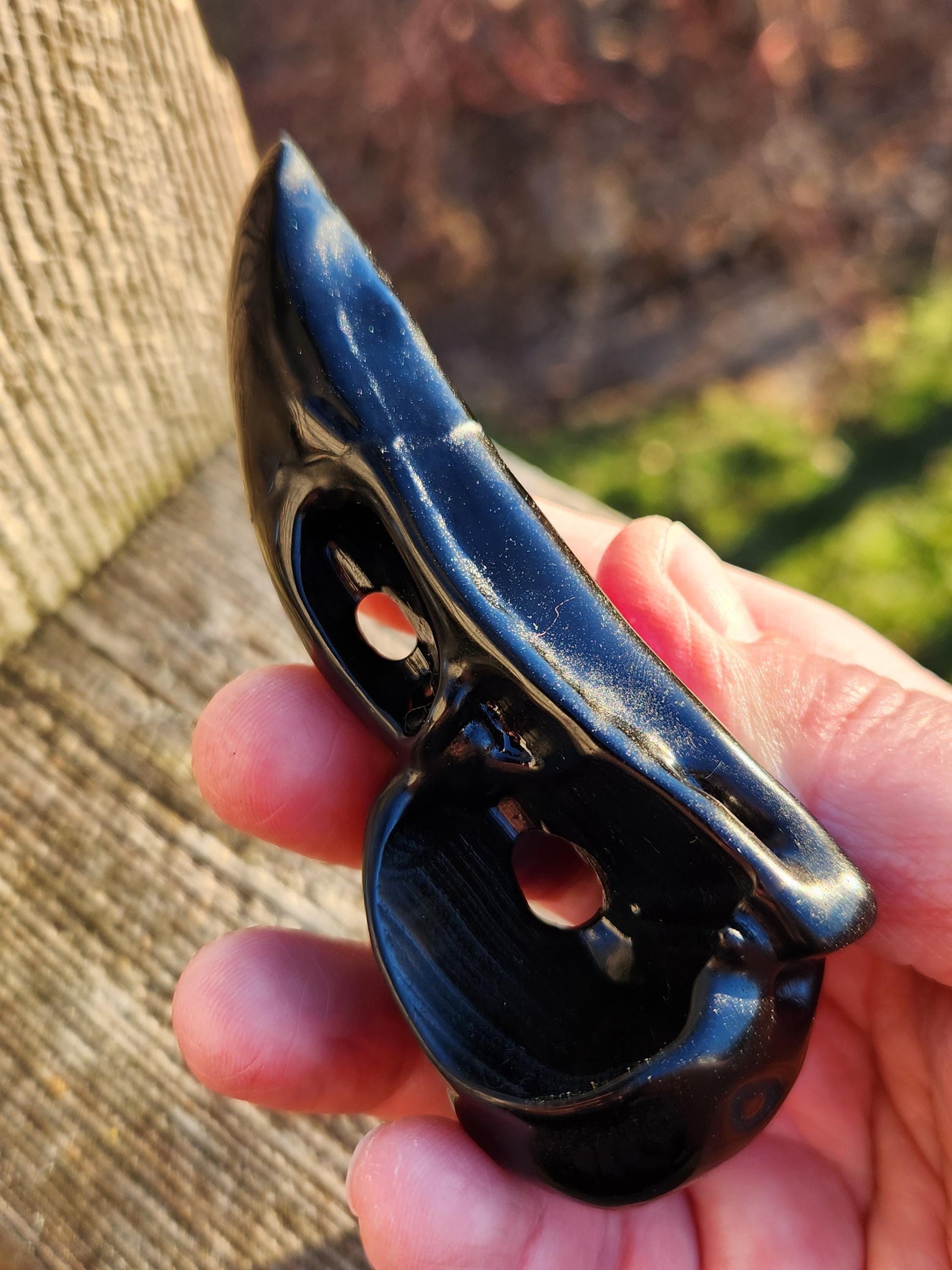 Carved Black Obsidian Medium Raven Skull: Crystal Carving, One