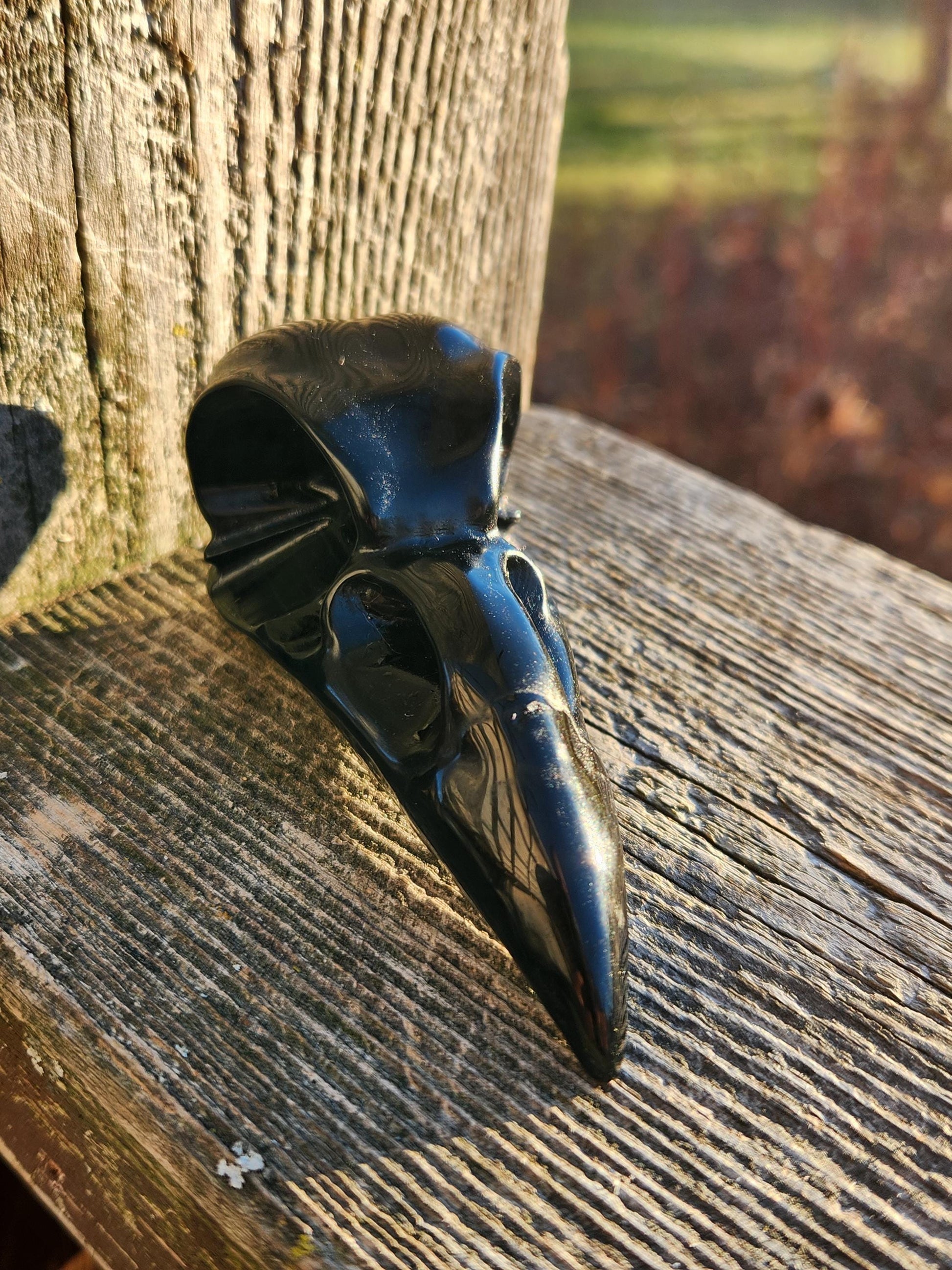 Carved Black Obsidian Medium Raven Skull: Crystal Carving, One