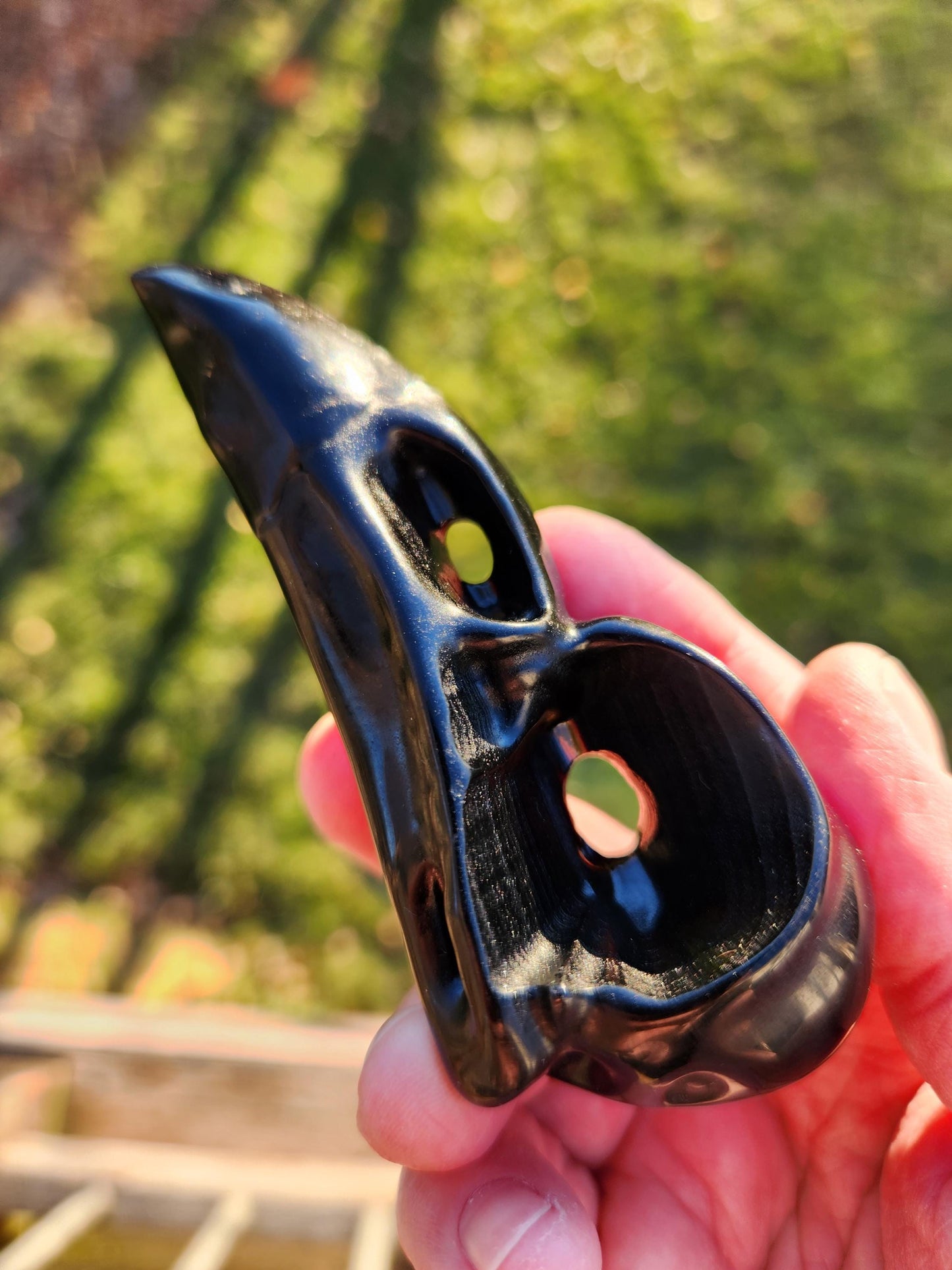 Carved Black Obsidian Medium Raven Skull: Crystal Carving, One