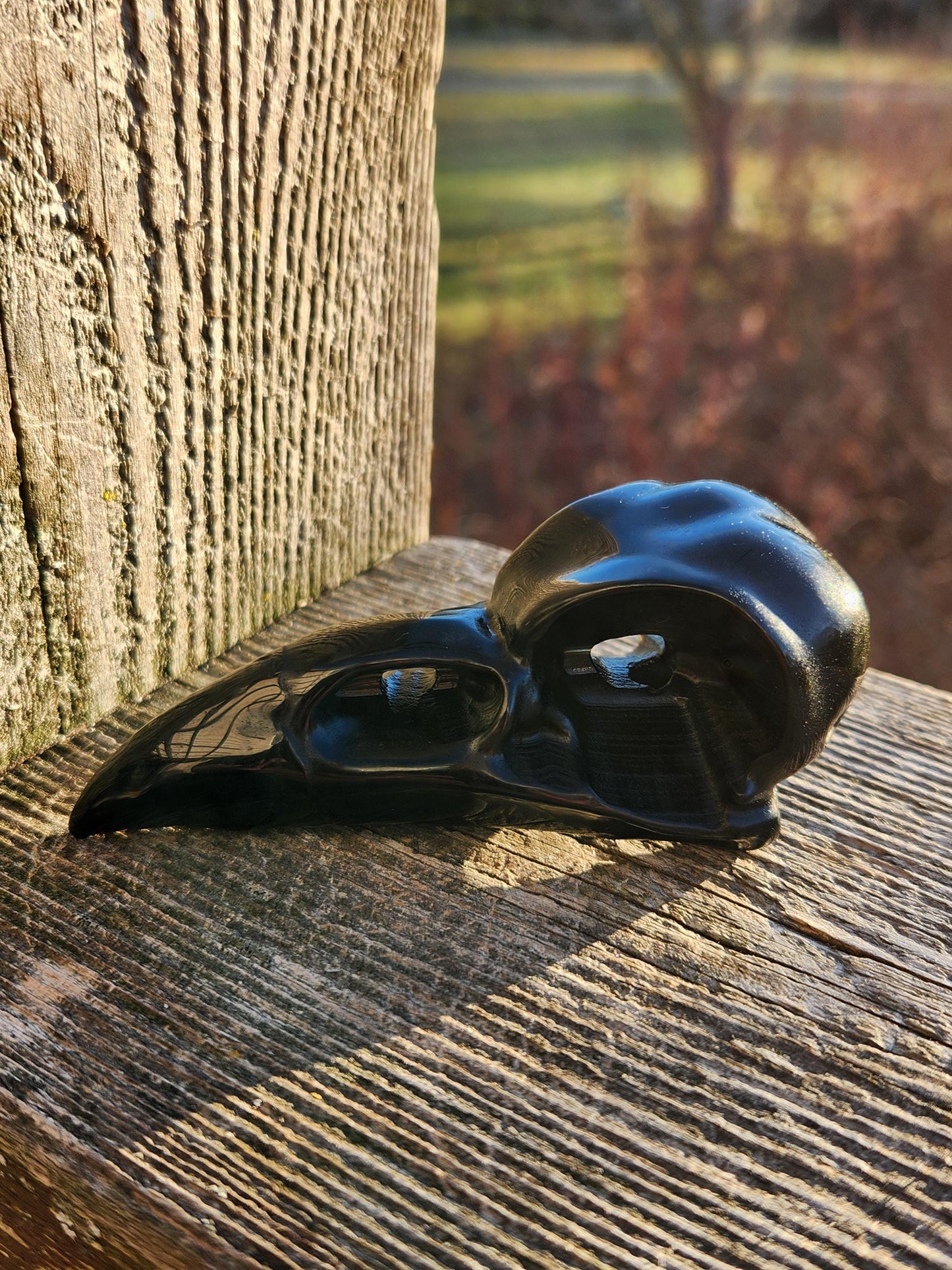 Carved Black Obsidian Medium Raven Skull: Crystal Carving, One