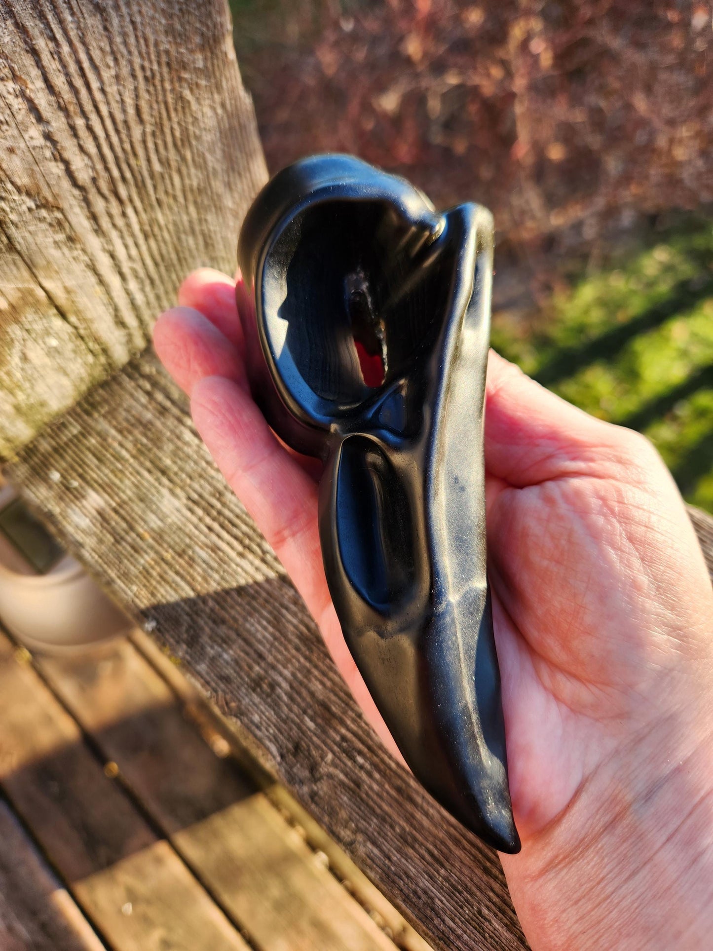Carved Black Obsidian Large Raven Skull: Crystal Carving, One