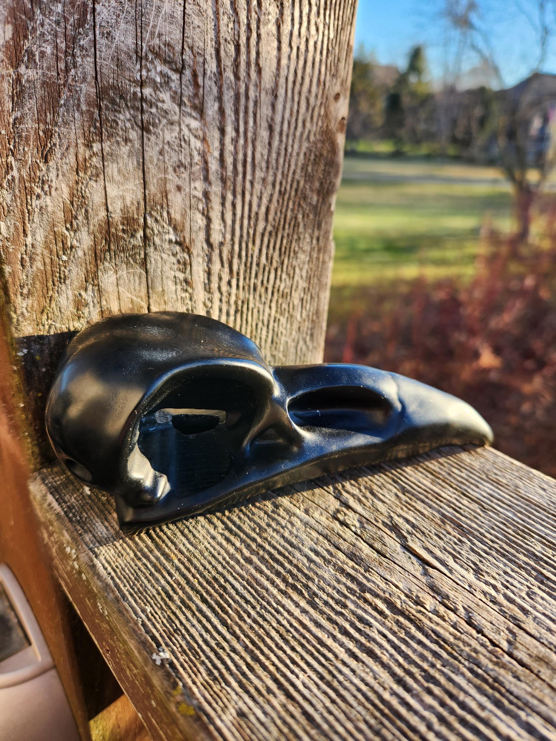 Carved Black Obsidian Large Raven Skull: Crystal Carving, One