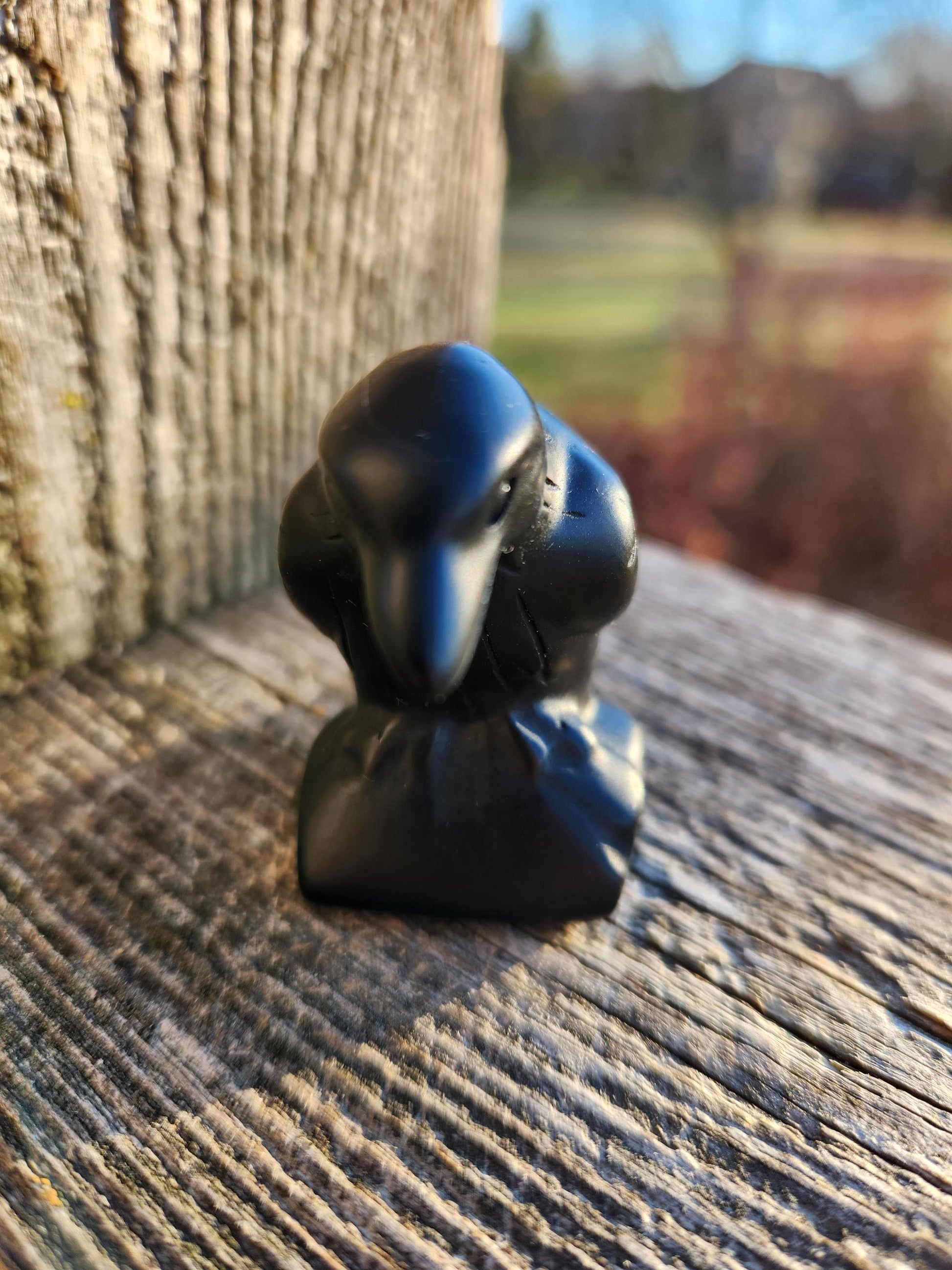 Carved Black Obsidian Crow Raven on Stand: Natural Crystal Raven Figurine