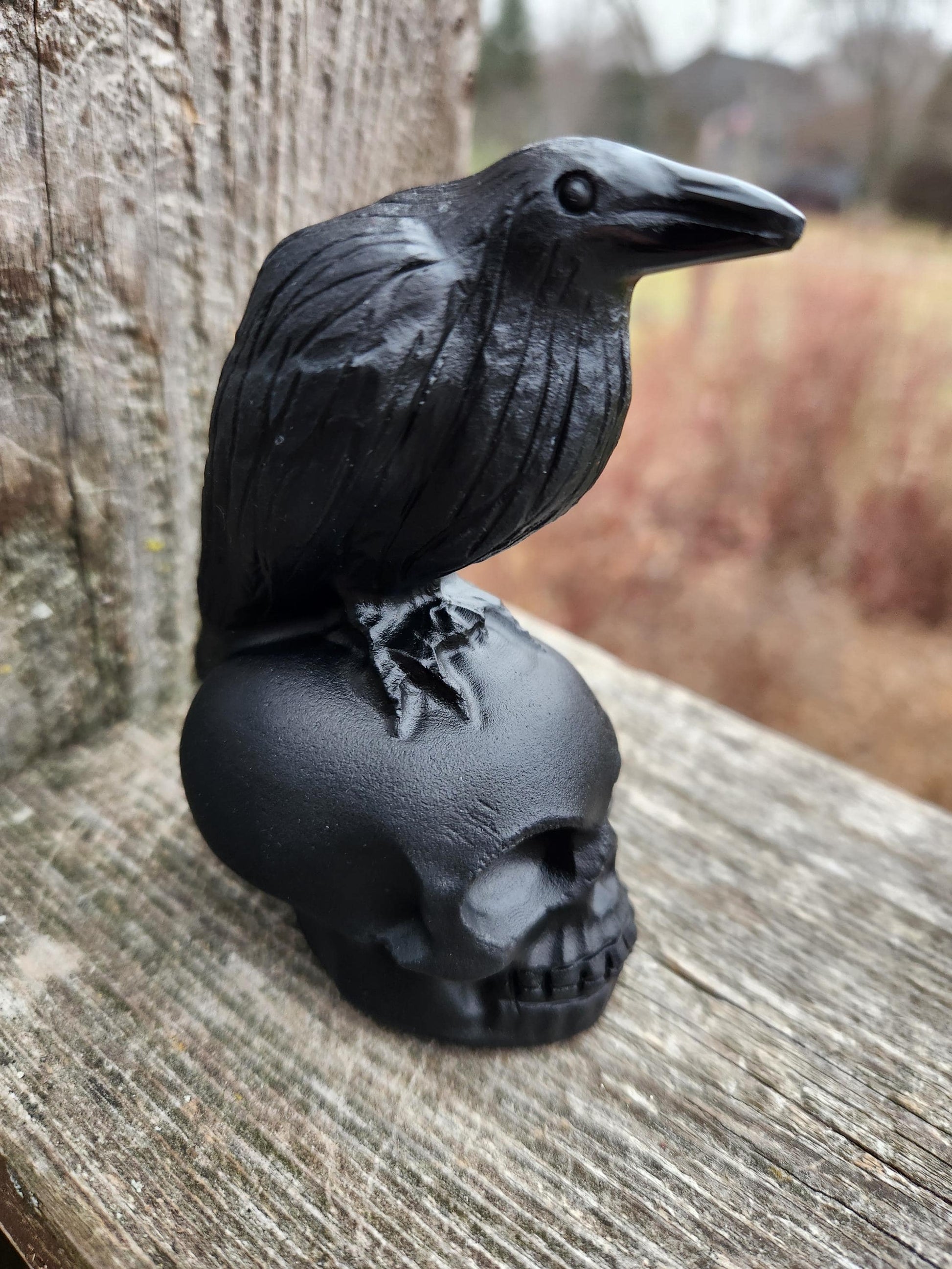 Carved Black Obsidian Crow Raven on Skull: Natural Crystal Raven Figurine