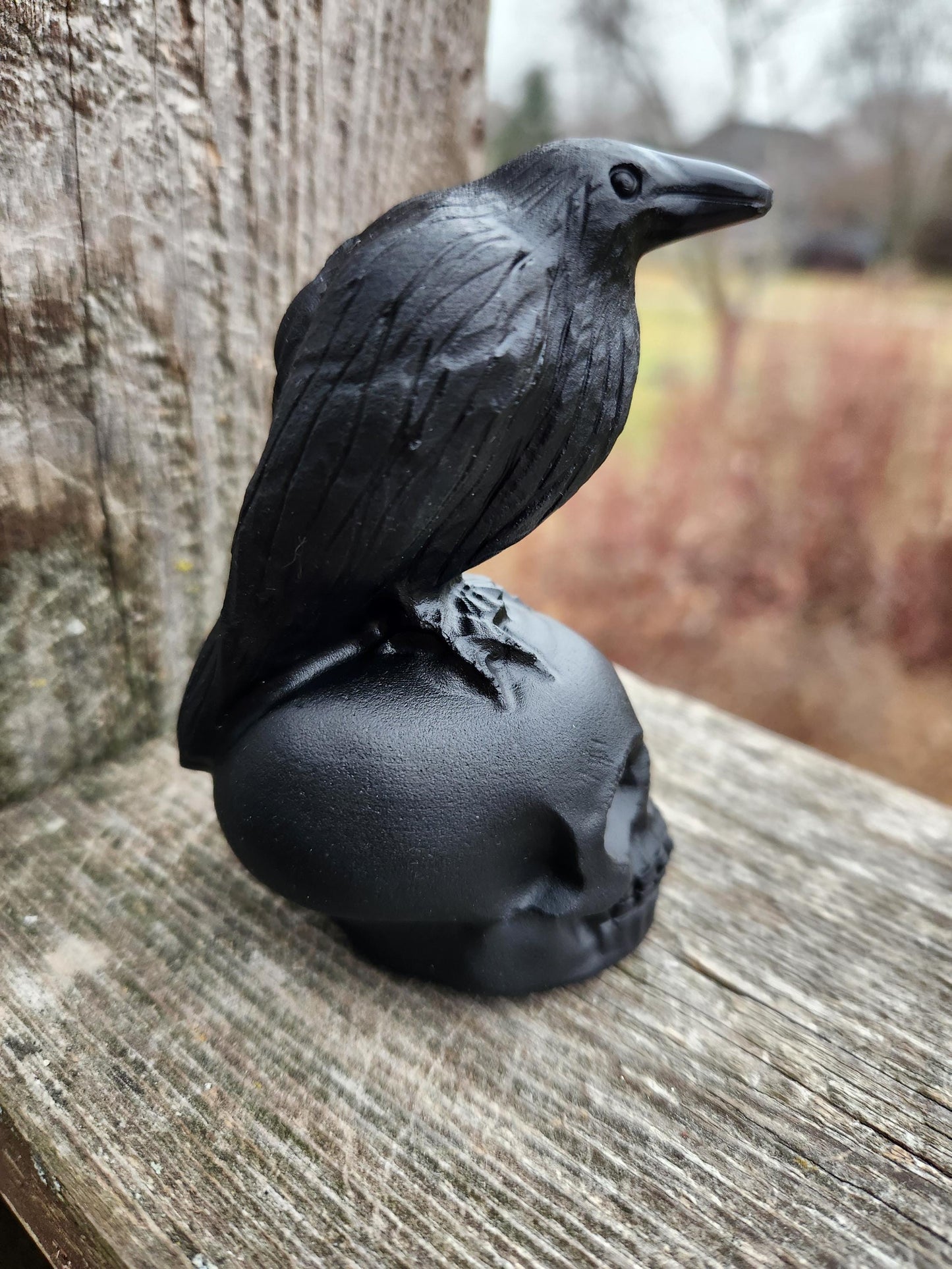 Carved Black Obsidian Crow Raven on Skull: Natural Crystal Raven Figurine
