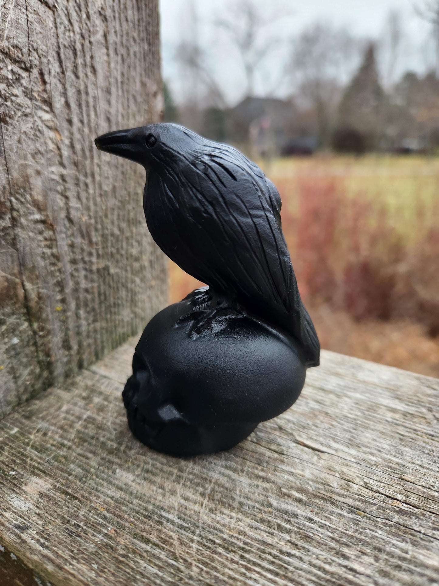 Carved Black Obsidian Crow Raven on Skull: Natural Crystal Raven Figurine