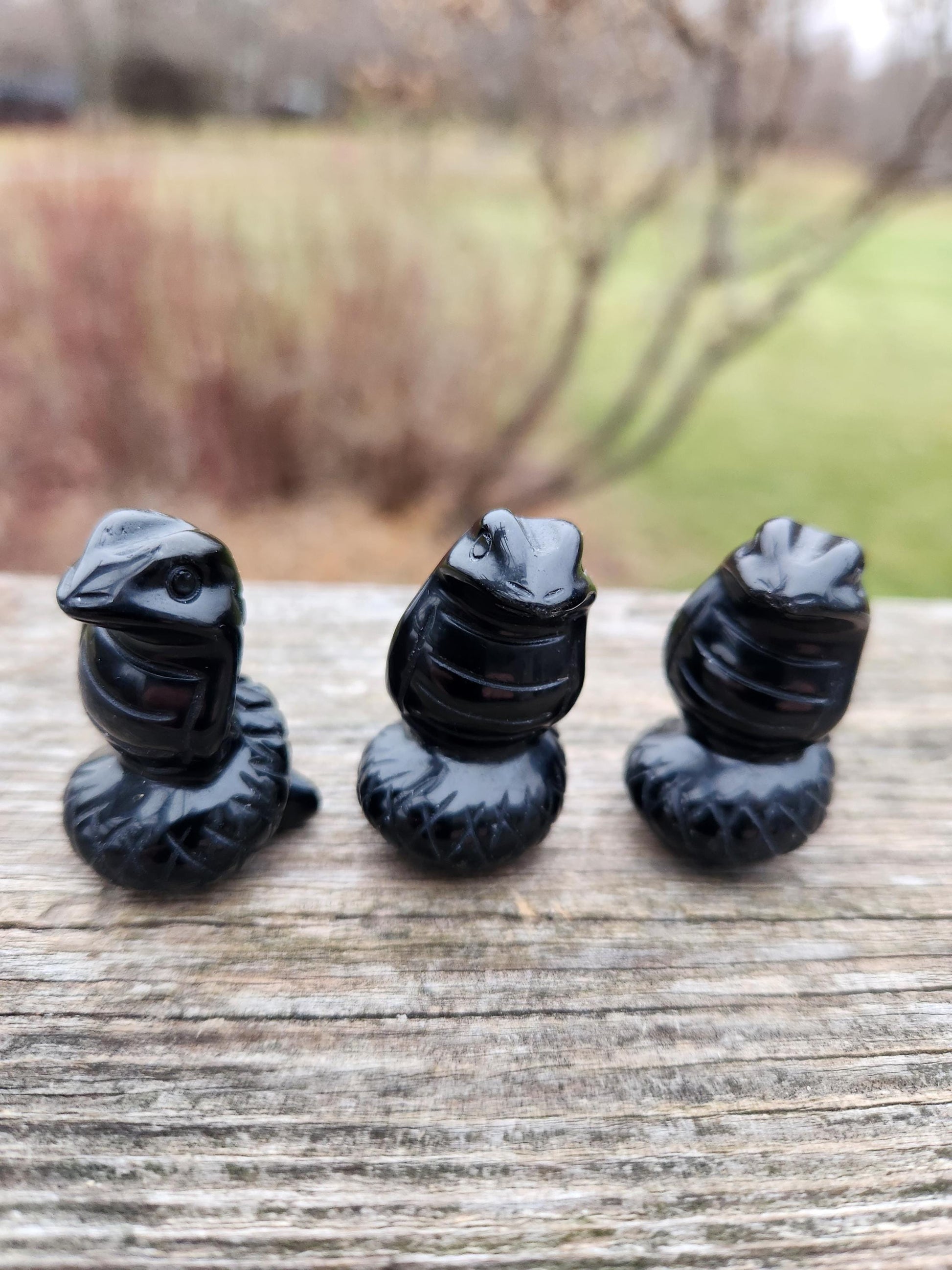 Carved Black Obsidian Cobra Snake: Crystal Carving, One