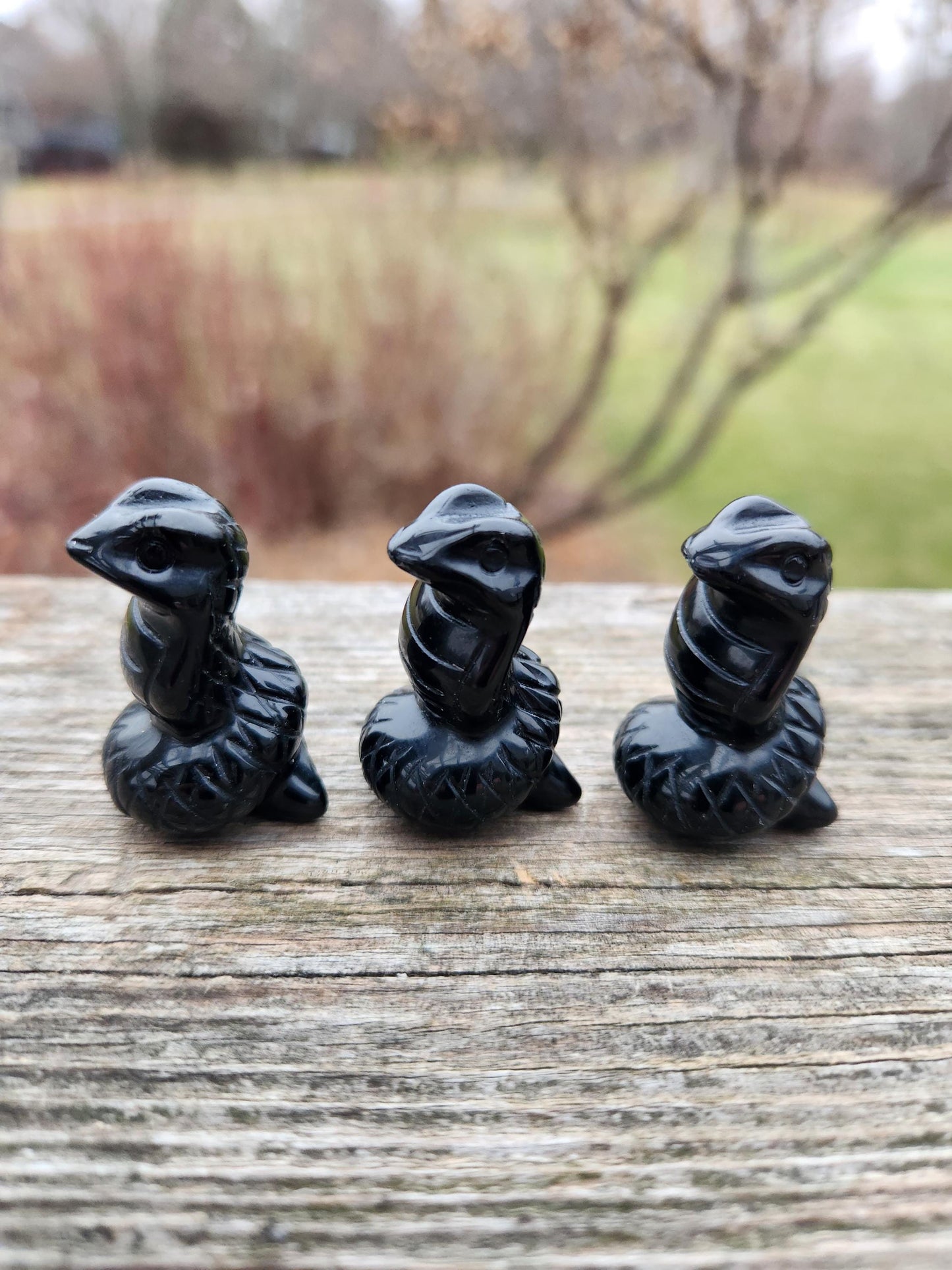 Carved Black Obsidian Cobra Snake: Crystal Carving, One