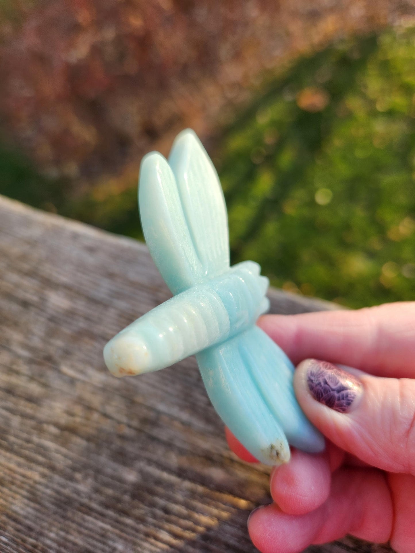 AAA Blue Aragonite Unique Crystal Dragonfly