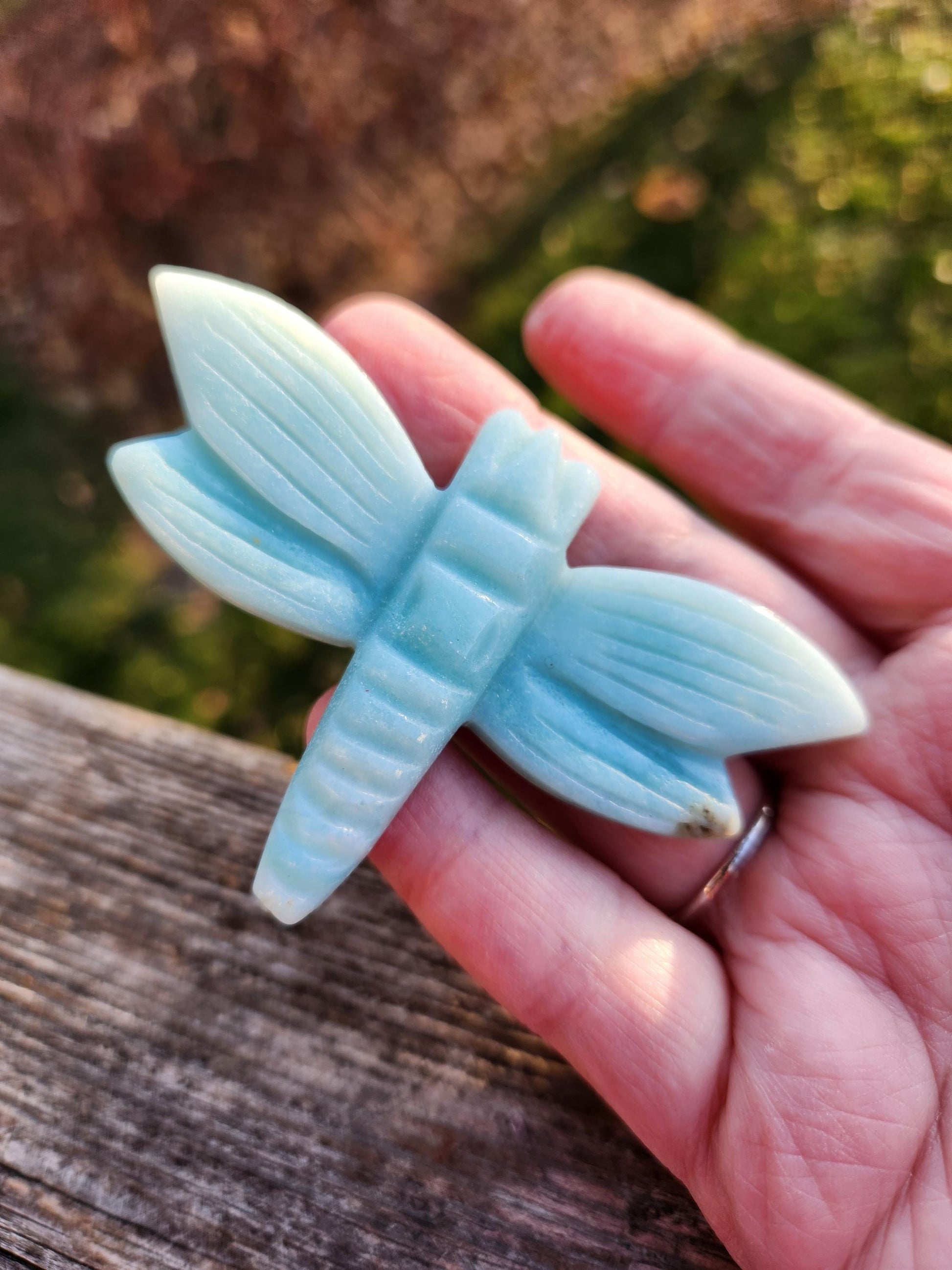 AAA Blue Aragonite Unique Crystal Dragonfly