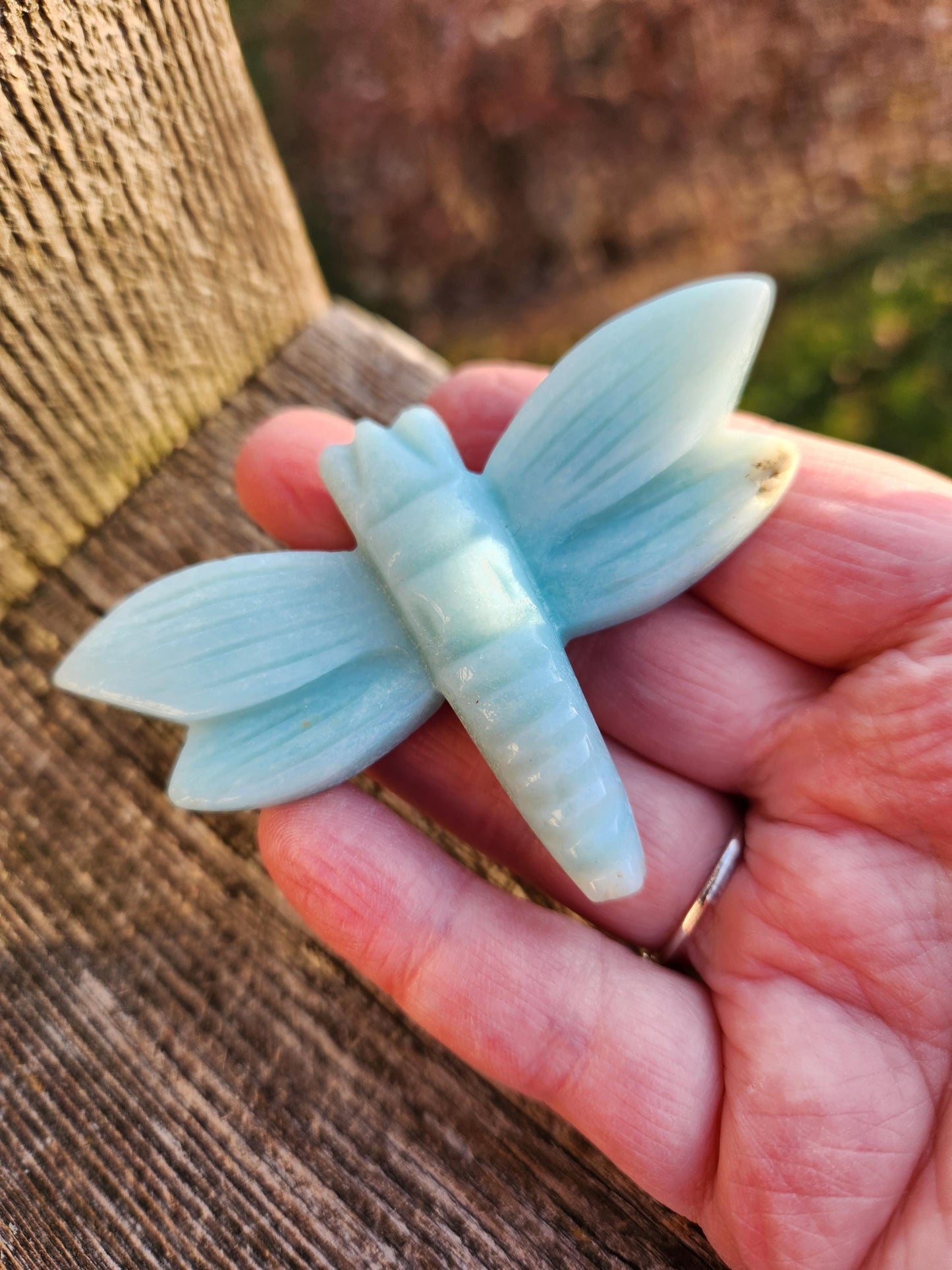 AAA Blue Aragonite Unique Crystal Dragonfly