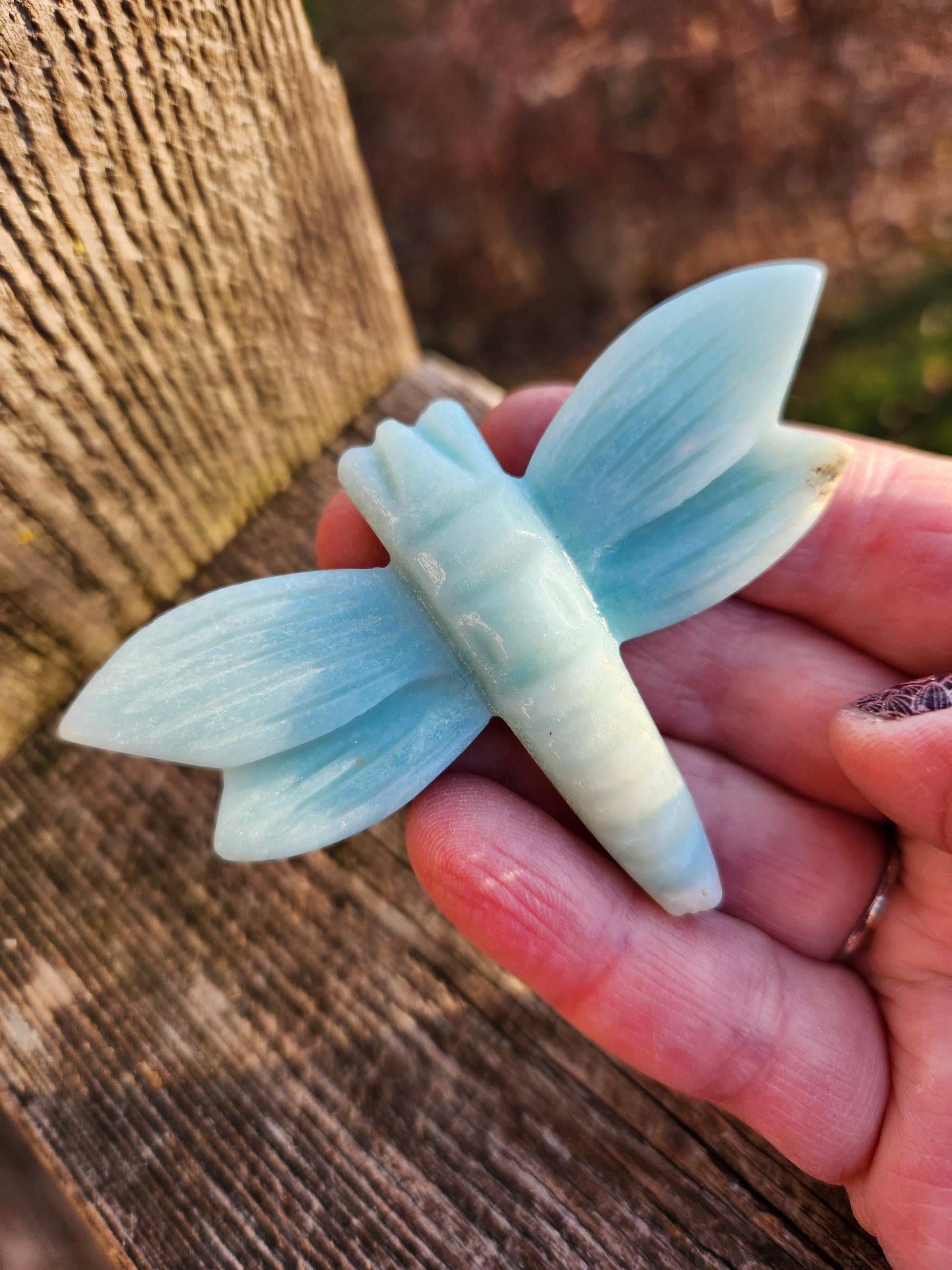 AAA Blue Aragonite Unique Crystal Dragonfly