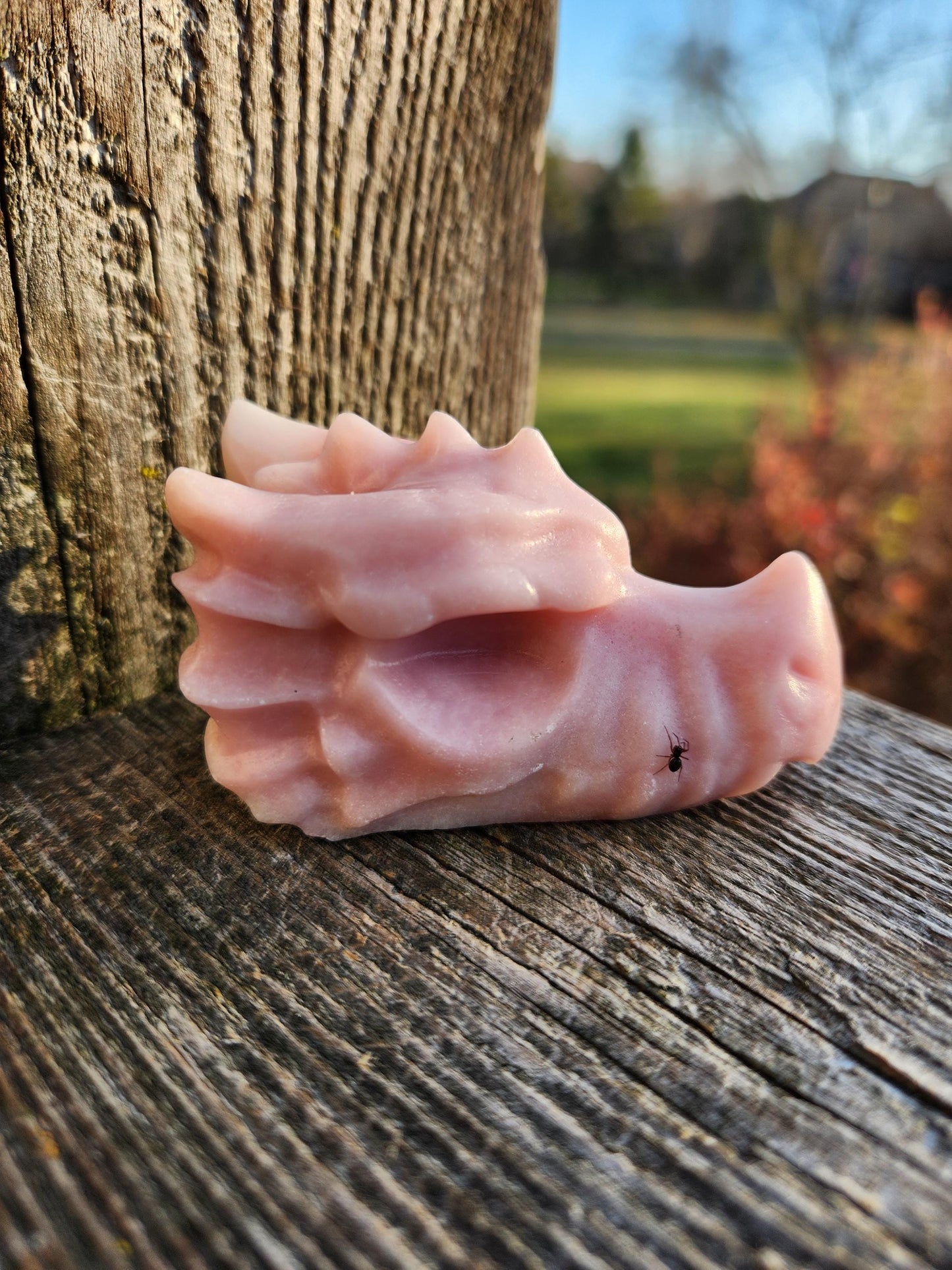 Pink Opal Carved Dragon Head, DnD