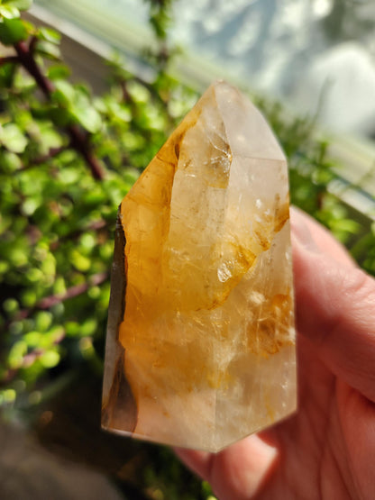 AAA Golden Healer Crystal Tower Point - Brazil Origin