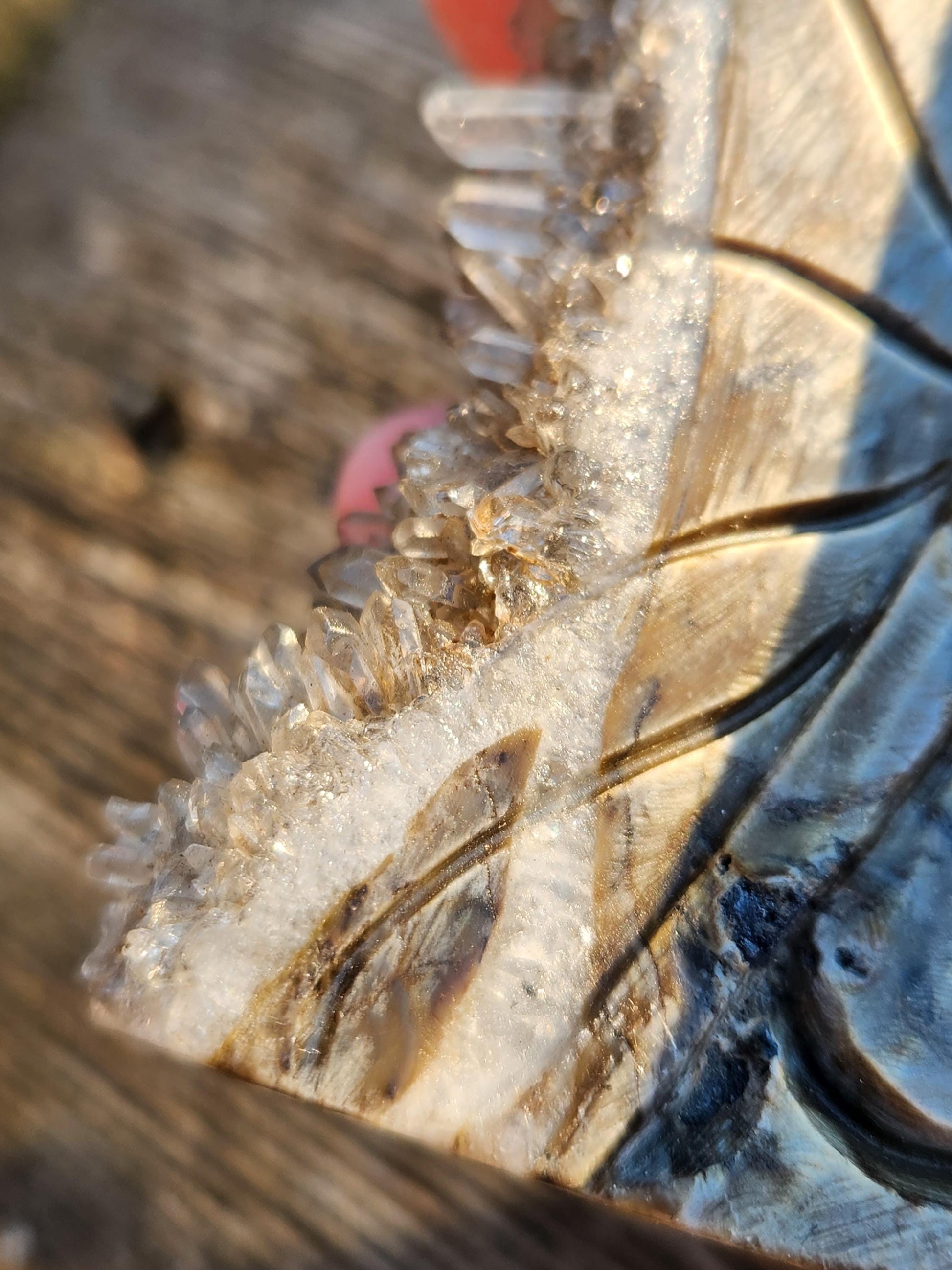 Super Unique Clear Quartz Points 0n Matrix Angel Or Fairy Carving Natural Stone Crystal
