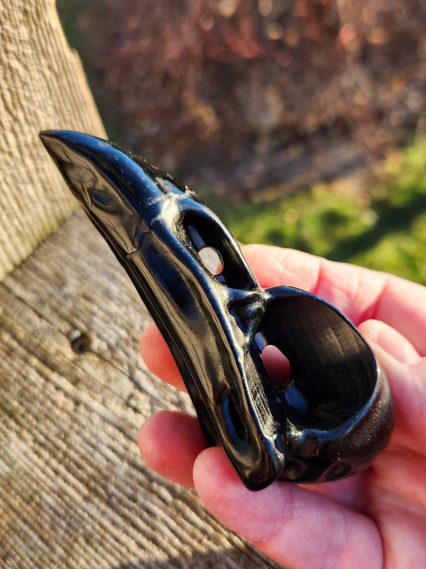 Carved Black Obsidian Medium Raven Skull: Crystal Carving, One