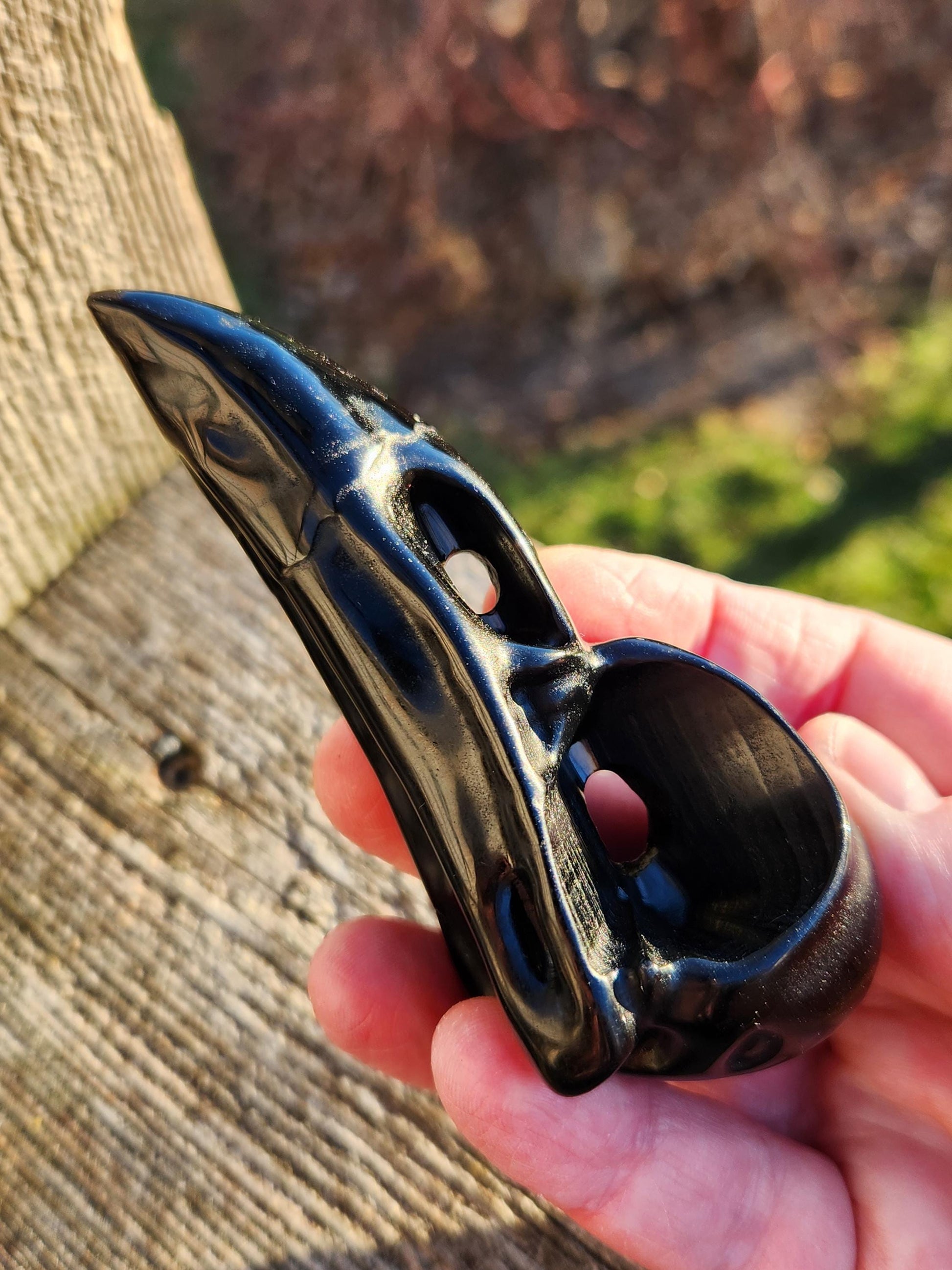 Carved Black Obsidian Medium Raven Skull: Crystal Carving, One