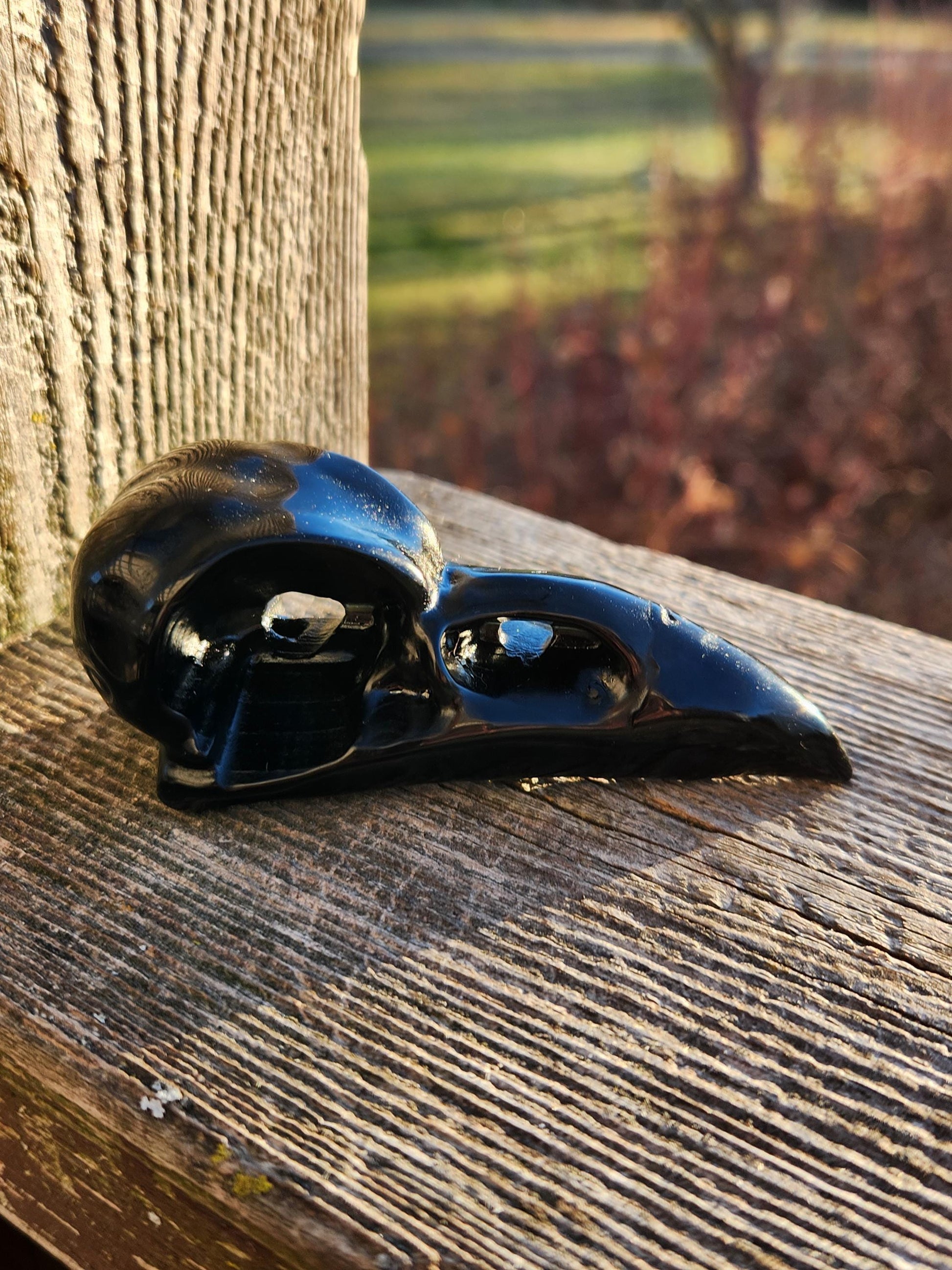 Carved Black Obsidian Medium Raven Skull: Crystal Carving, One