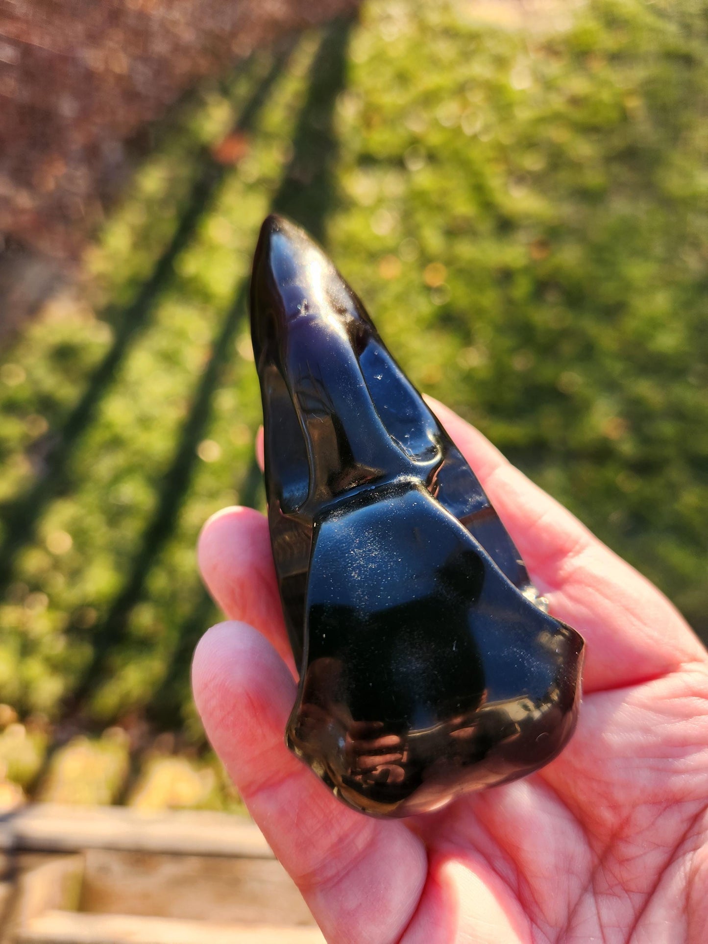 Carved Black Obsidian Medium Raven Skull: Crystal Carving, One