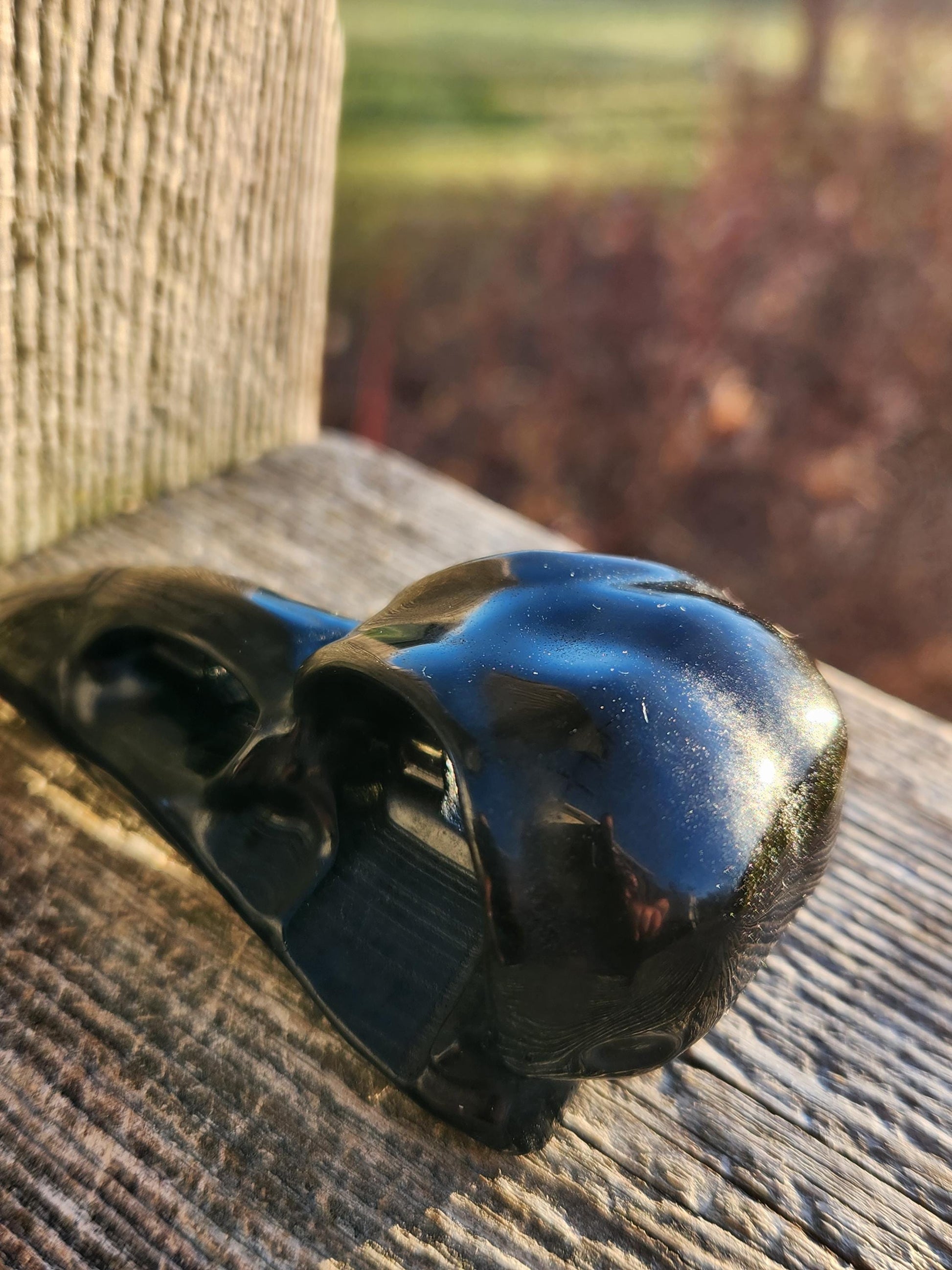 Carved Black Obsidian Medium Raven Skull: Crystal Carving, One
