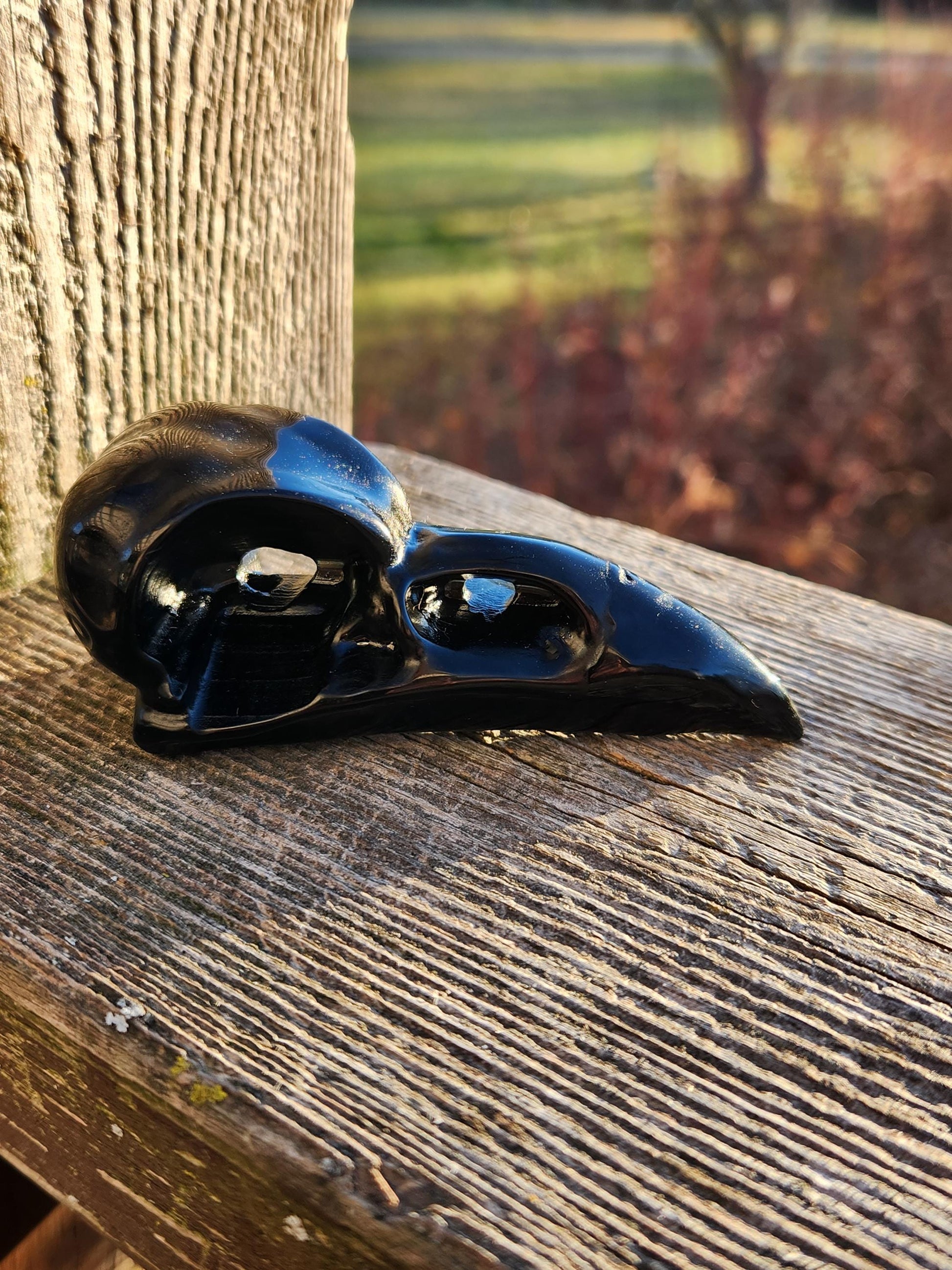 Carved Black Obsidian Medium Raven Skull: Crystal Carving, One