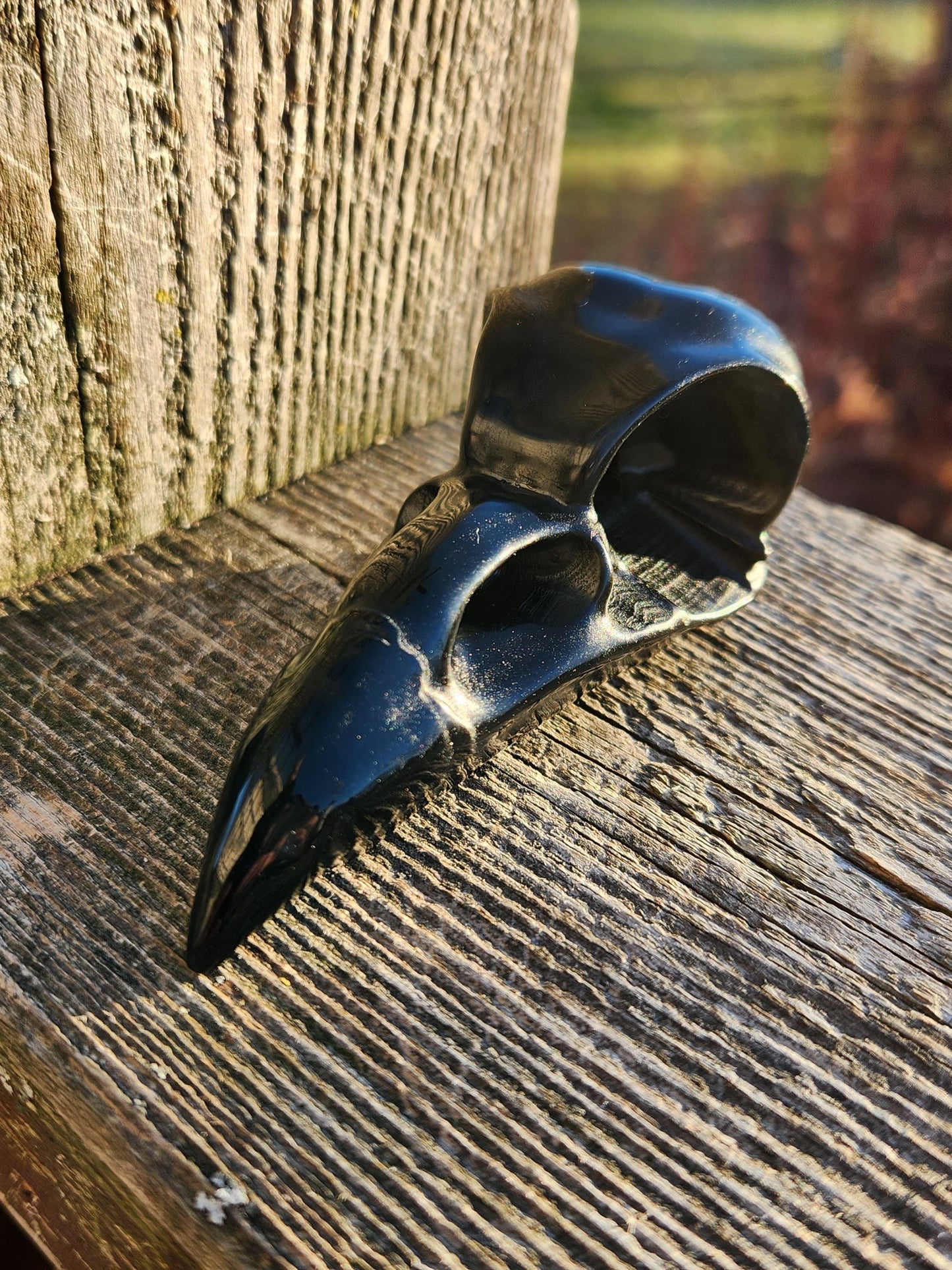 Carved Black Obsidian Medium Raven Skull: Crystal Carving, One