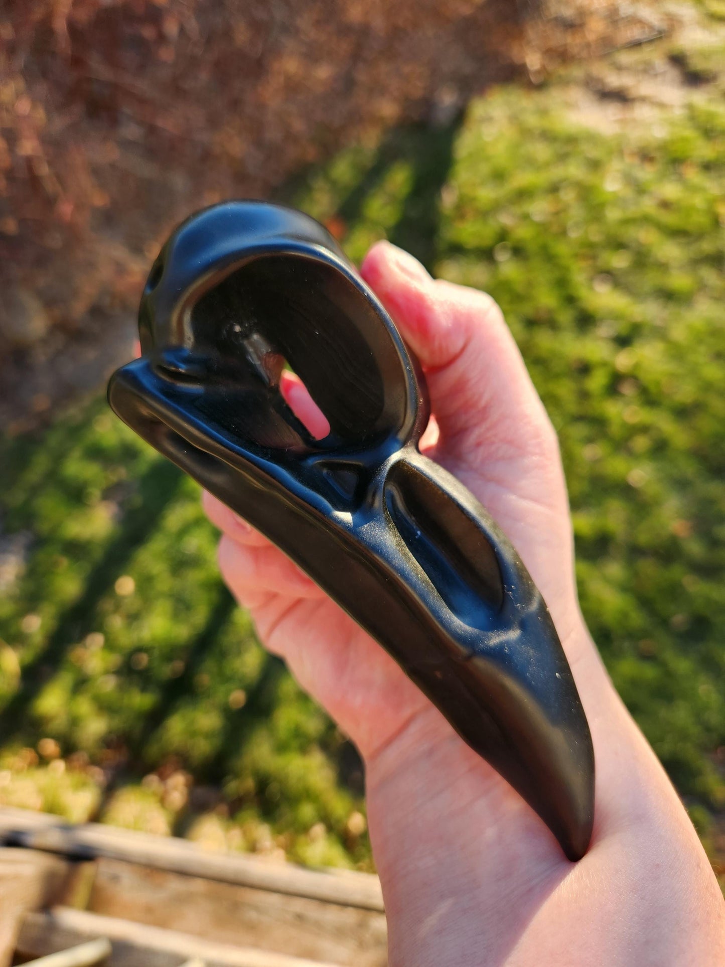 Carved Black Obsidian Large Raven Skull: Crystal Carving, One