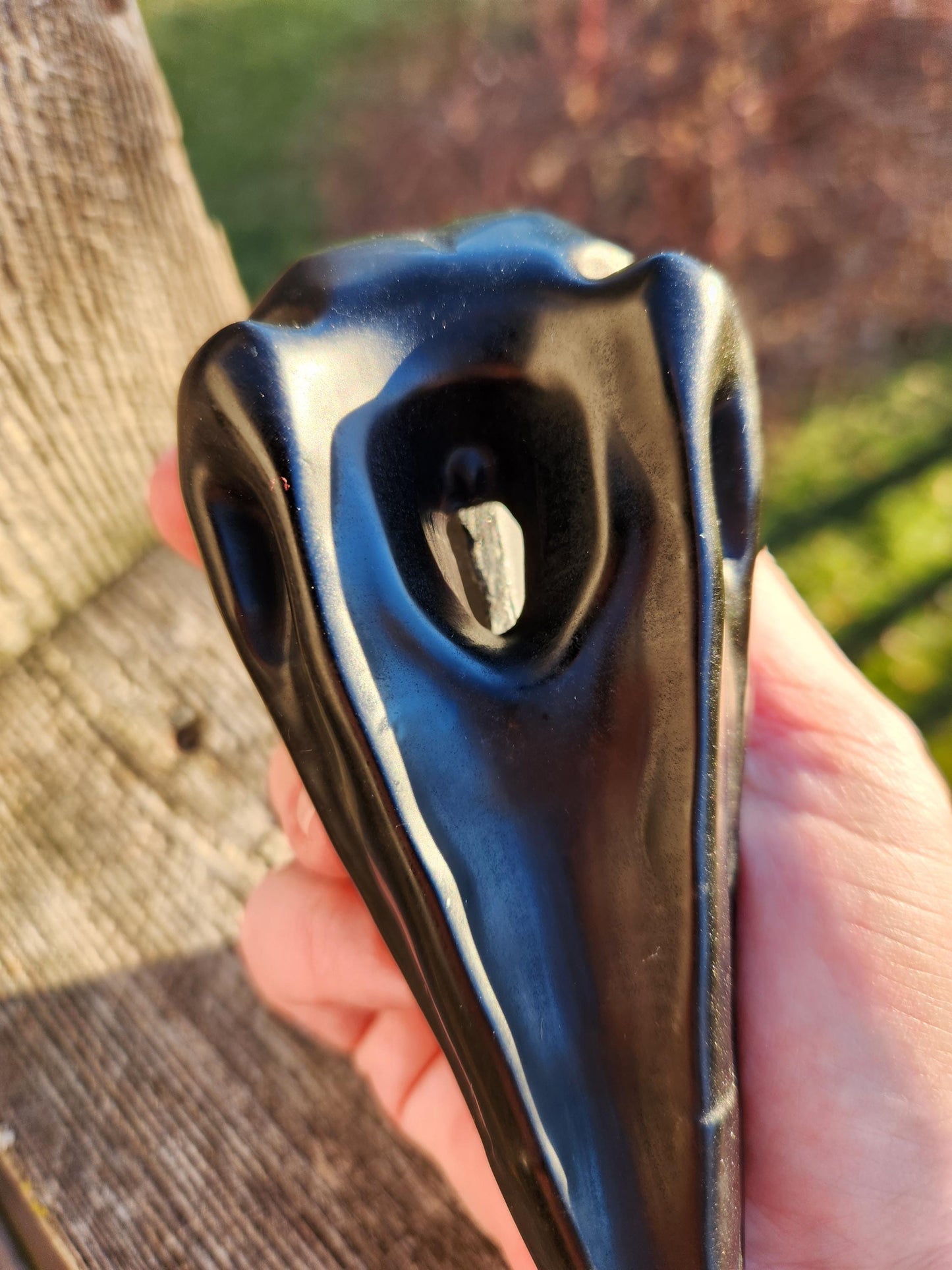 Carved Black Obsidian Large Raven Skull: Crystal Carving, One