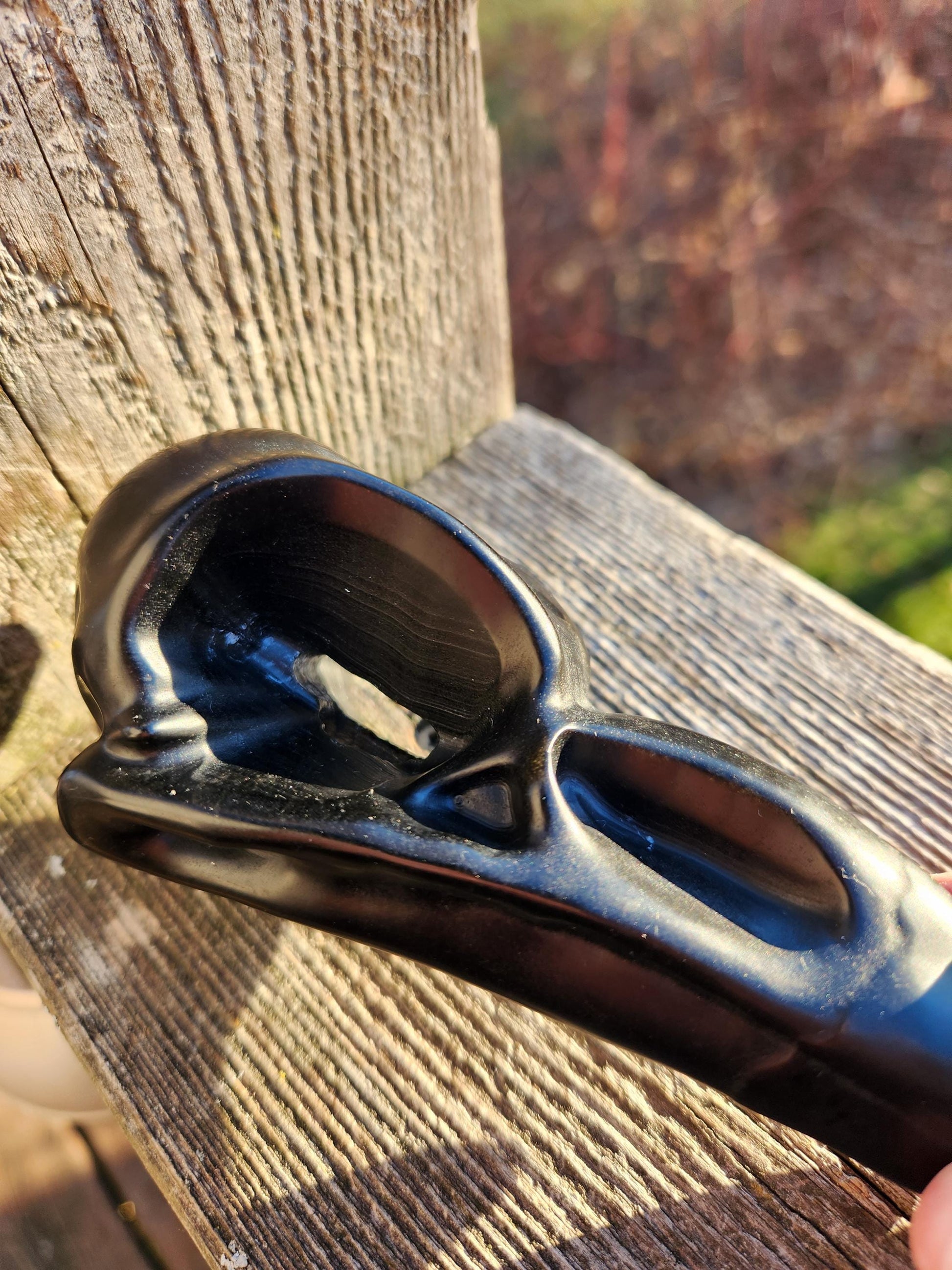 Carved Black Obsidian Large Raven Skull: Crystal Carving, One